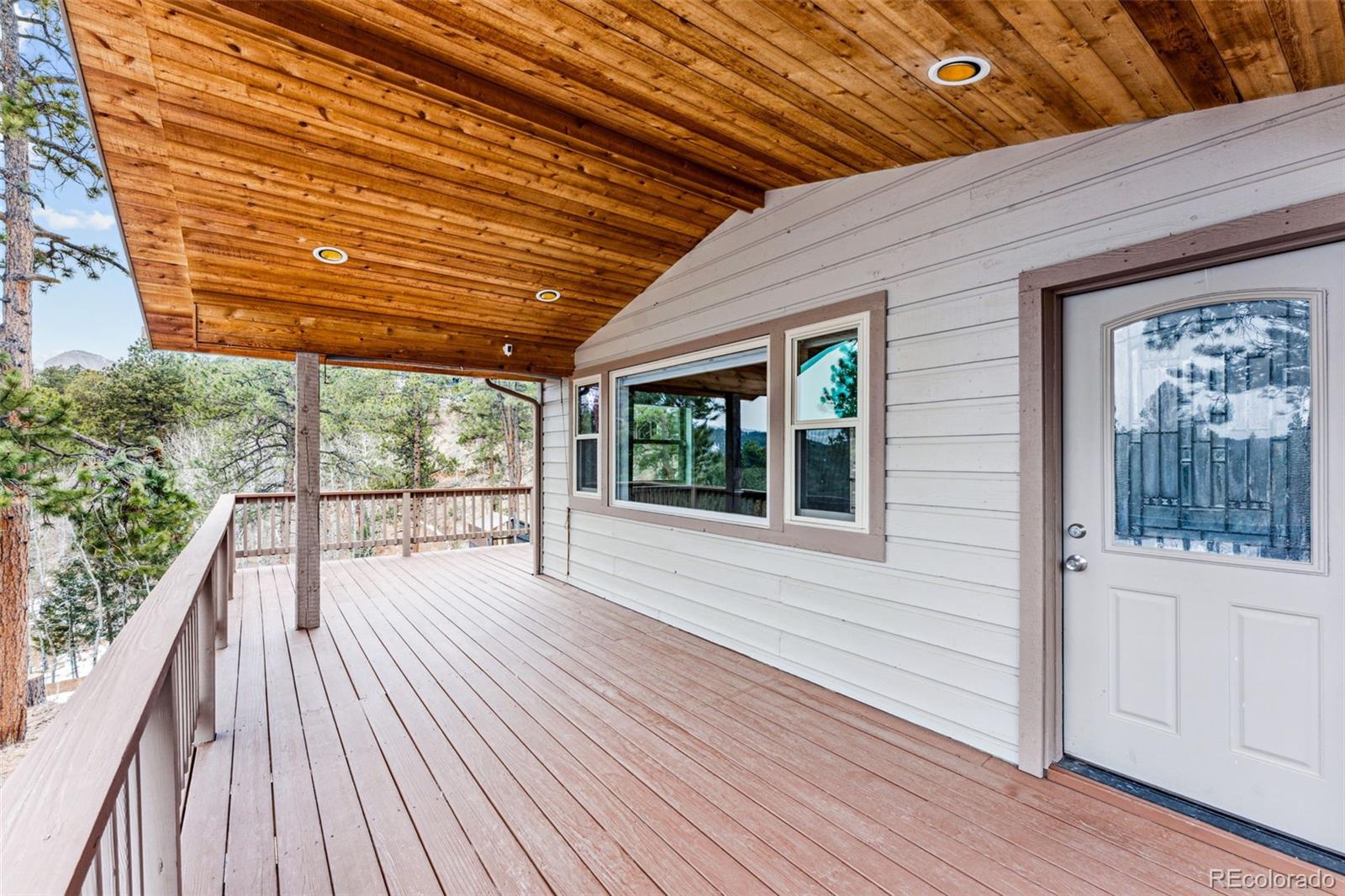 MLS Image #4 for 11659 s upper ranch drive,pine, Colorado