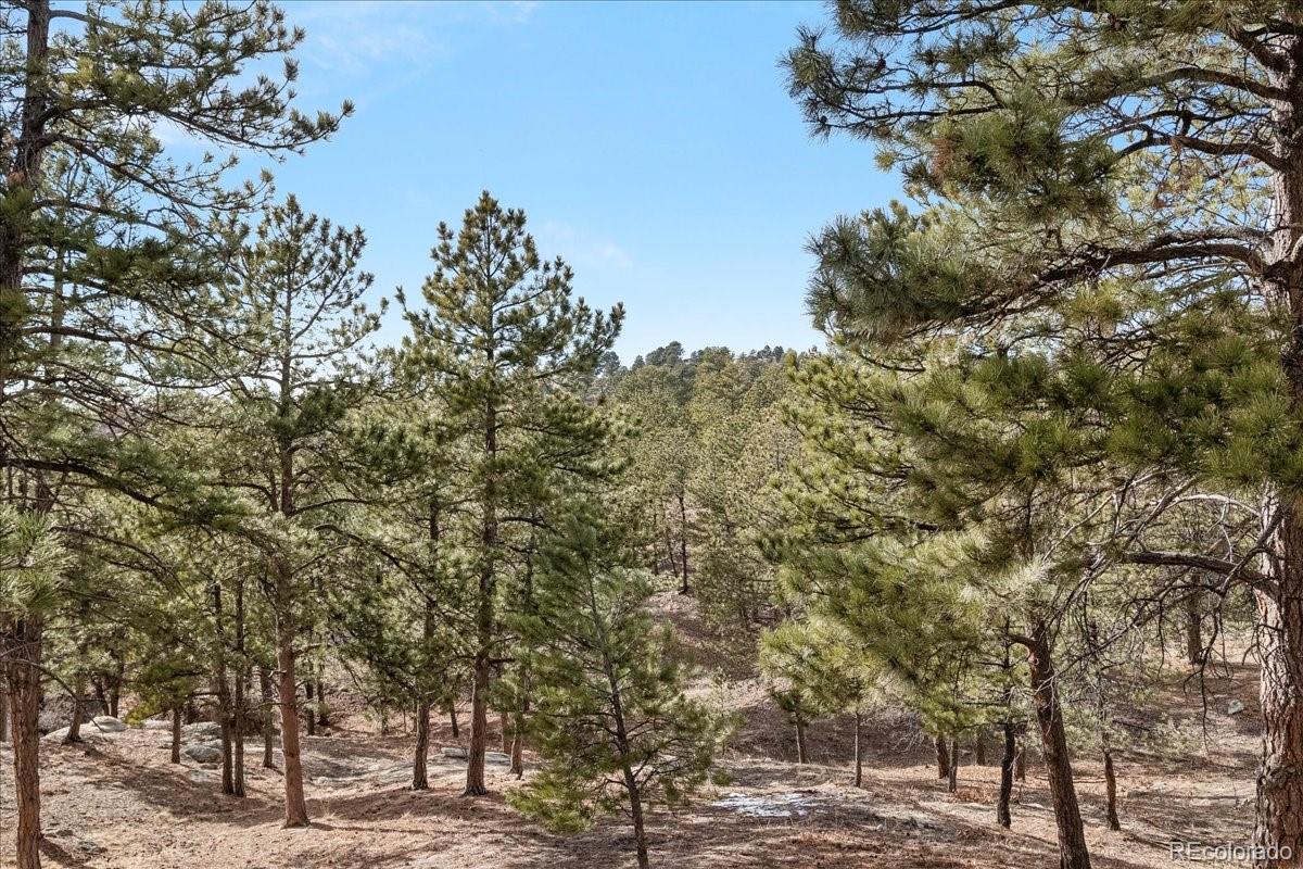 MLS Image #43 for 7649  pineridge terrace,castle pines, Colorado