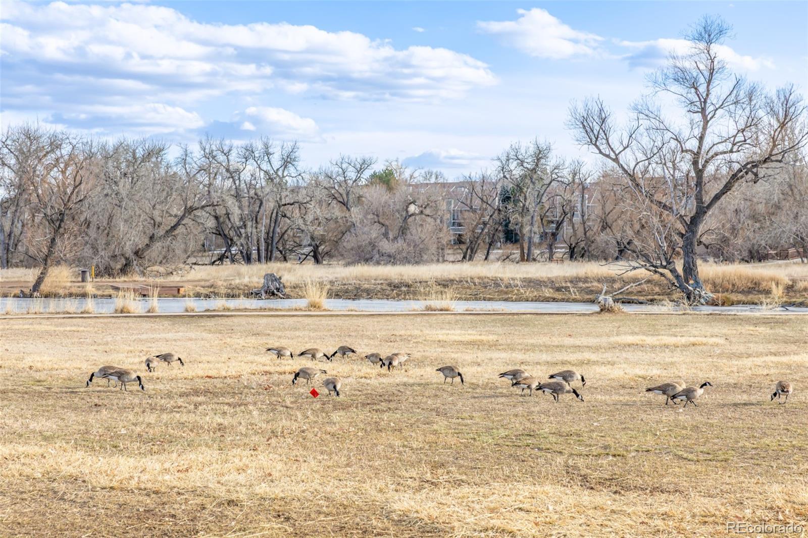 MLS Image #47 for 3281 s estes street,lakewood, Colorado