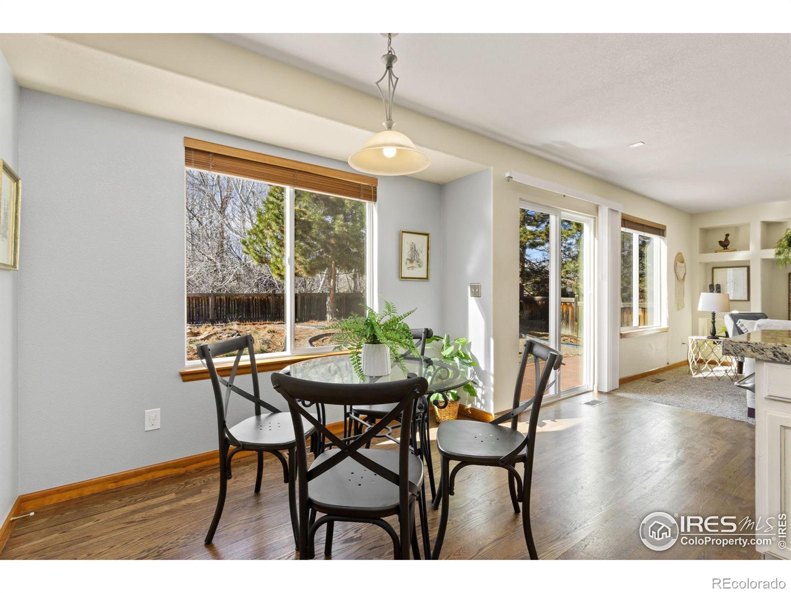 MLS Image #12 for 439  huntington hills drive,fort collins, Colorado