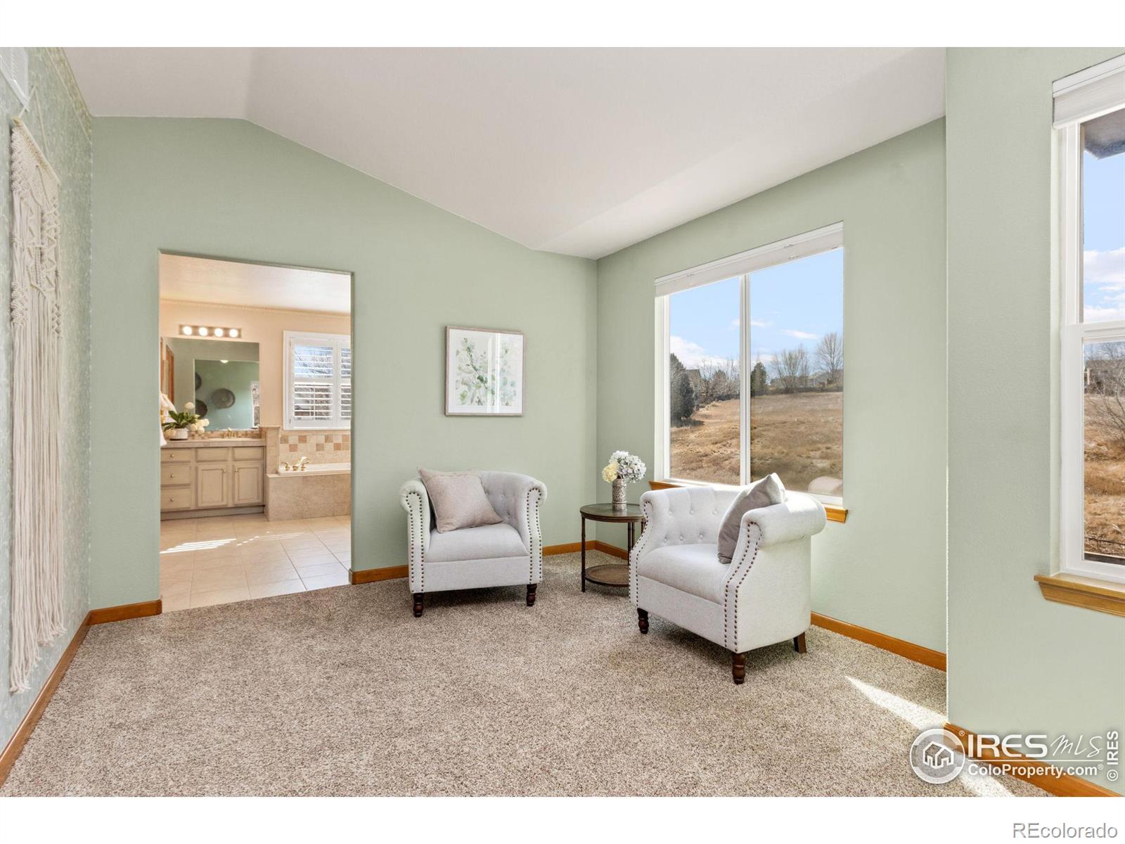 MLS Image #20 for 439  huntington hills drive,fort collins, Colorado