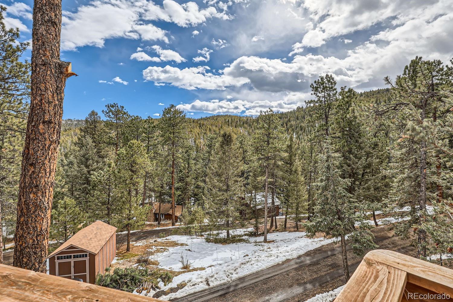 MLS Image #25 for 7219 s brook forest road,evergreen, Colorado