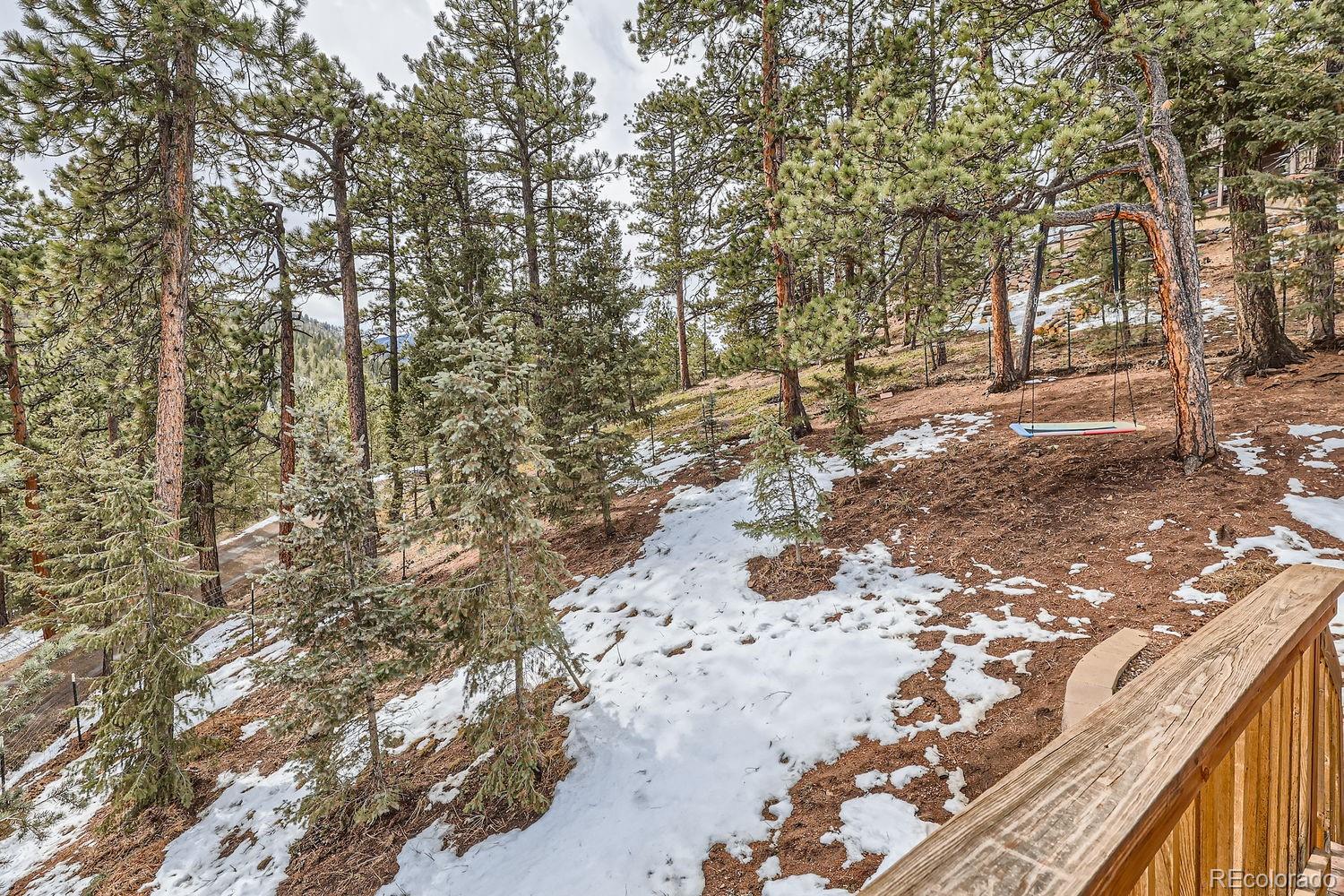 MLS Image #27 for 7219 s brook forest road,evergreen, Colorado