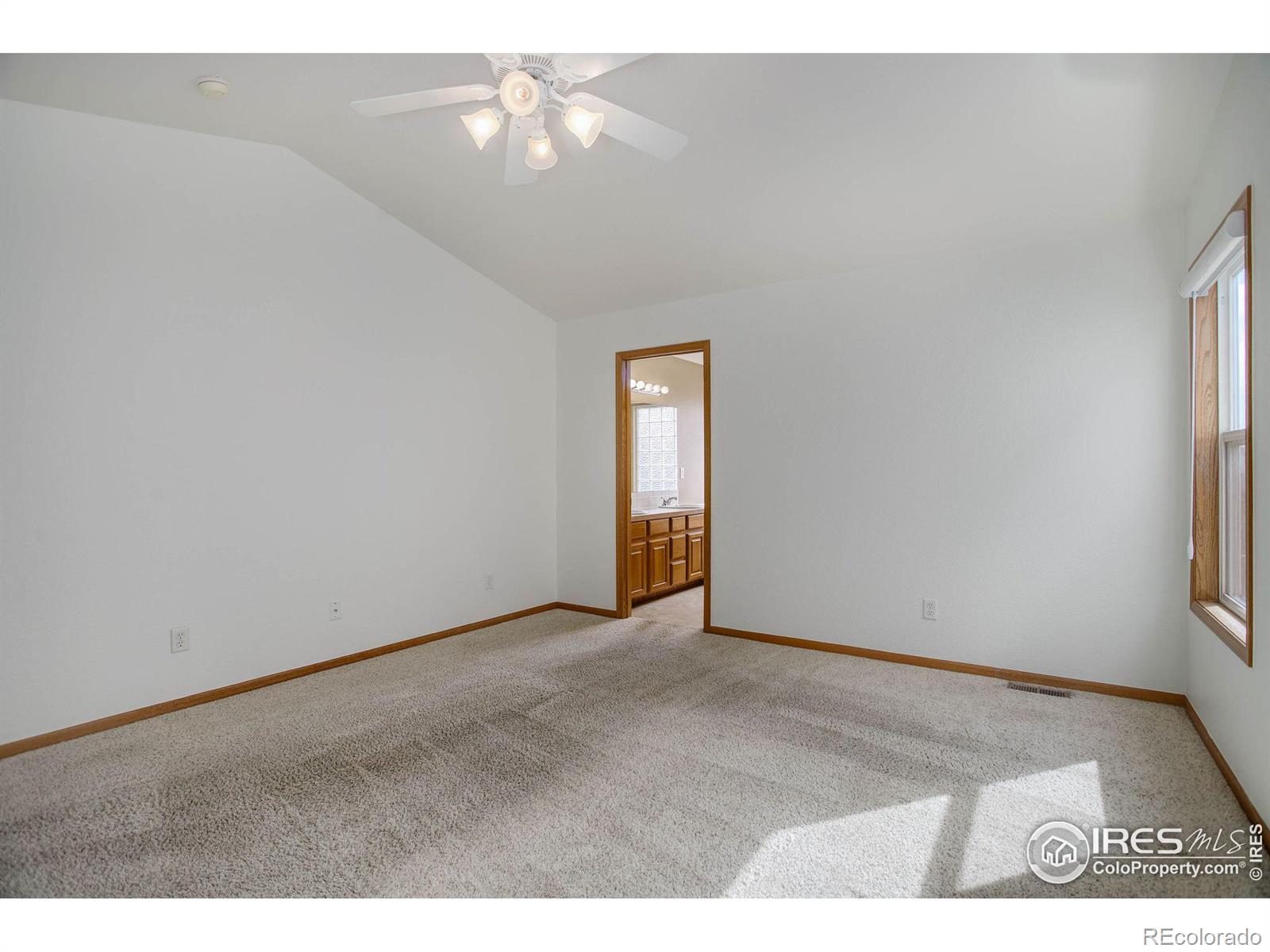 MLS Image #18 for 3016  ivy drive,loveland, Colorado