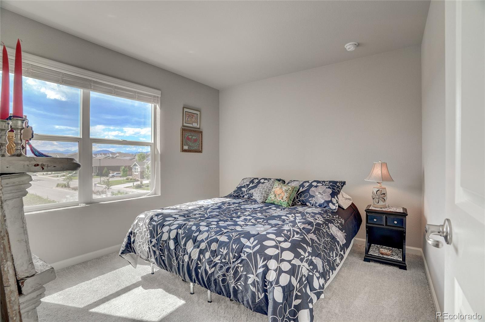 MLS Image #16 for 2790  center park way,berthoud, Colorado