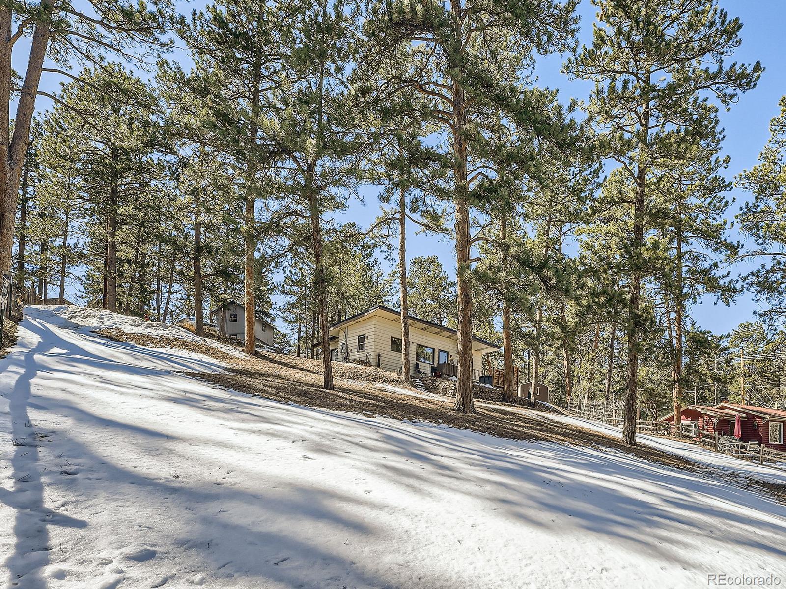 CMA Image for 28251  Meadow Rue Road,Evergreen, Colorado