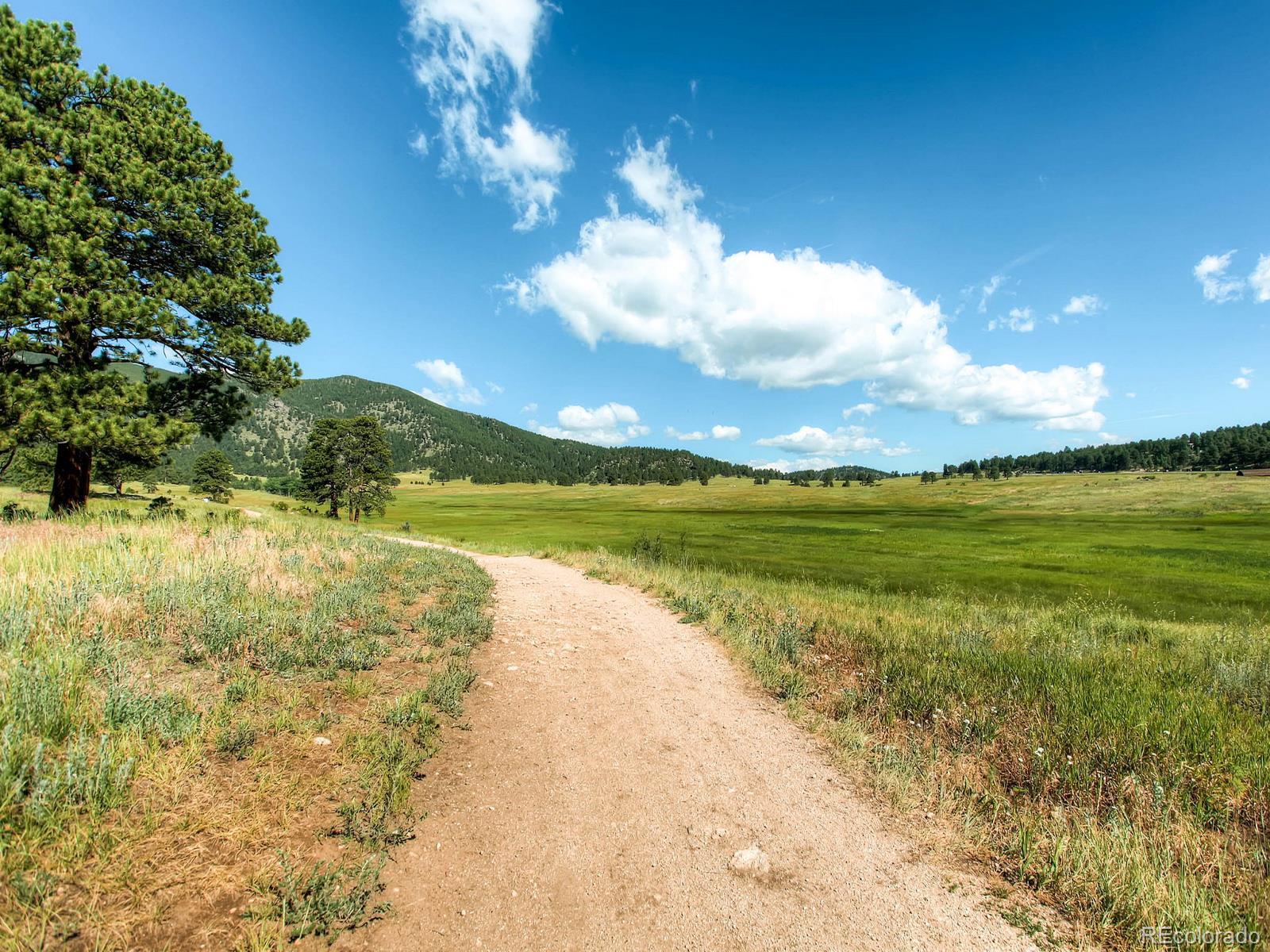 MLS Image #29 for 28251  meadow rue road,evergreen, Colorado