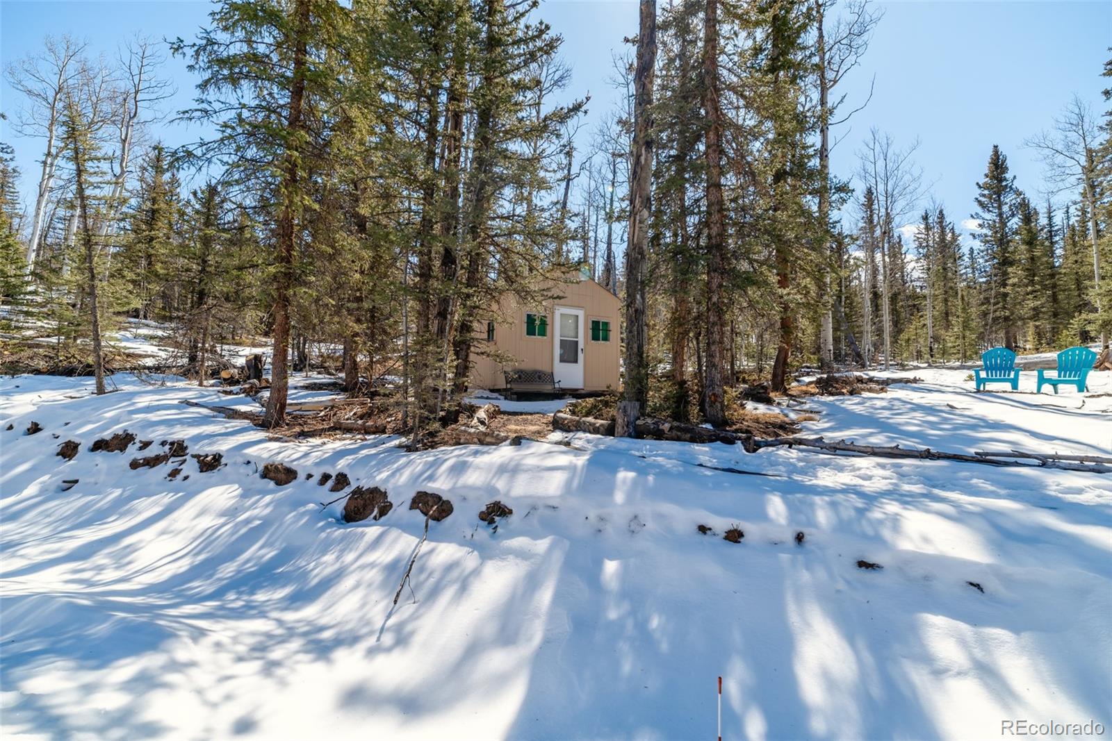 MLS Image #16 for 972 n quarter horse road,jefferson, Colorado