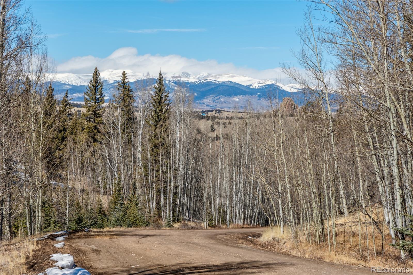 MLS Image #21 for 972 n quarter horse road,jefferson, Colorado