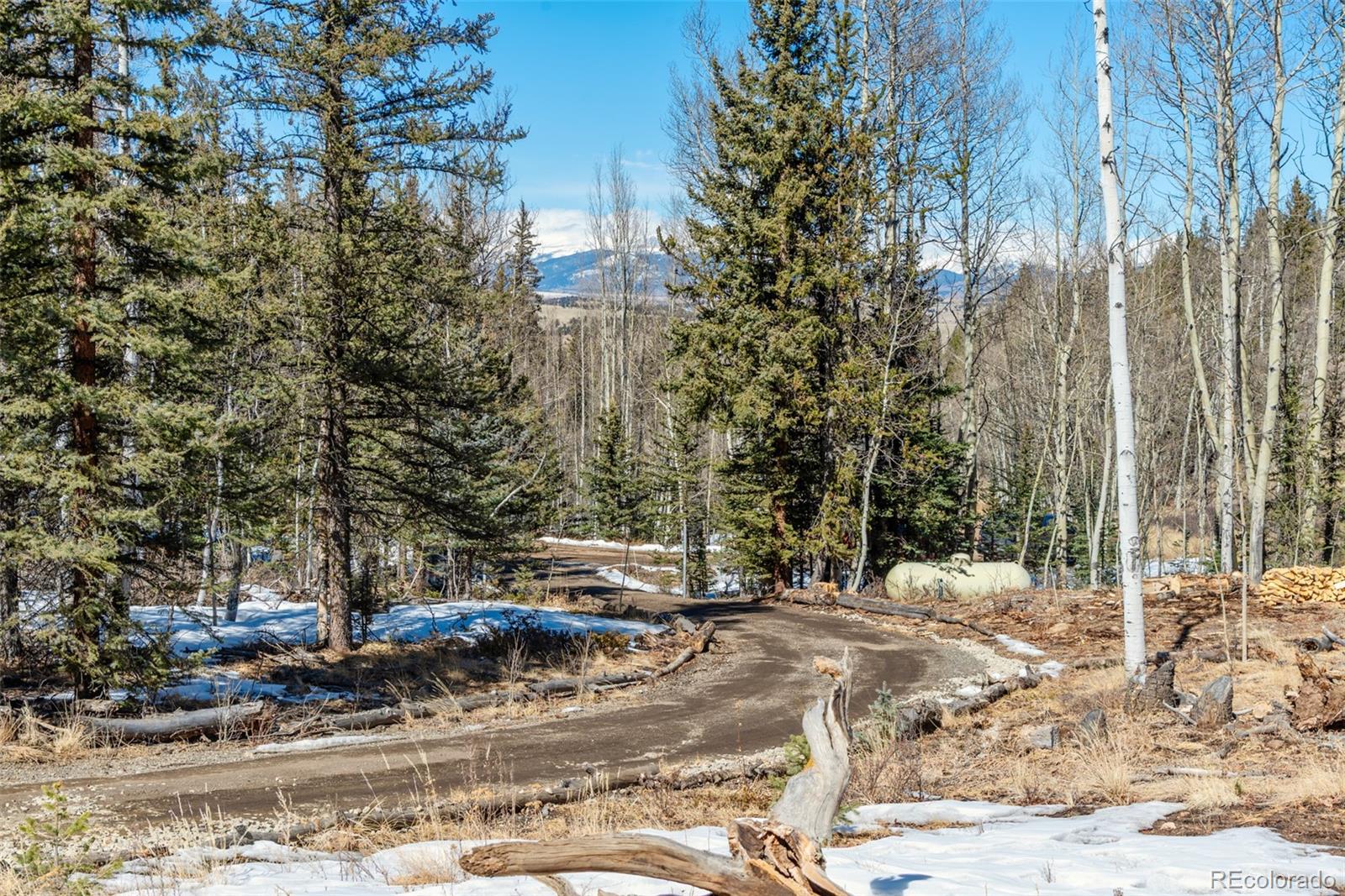 MLS Image #22 for 972 n quarter horse road,jefferson, Colorado