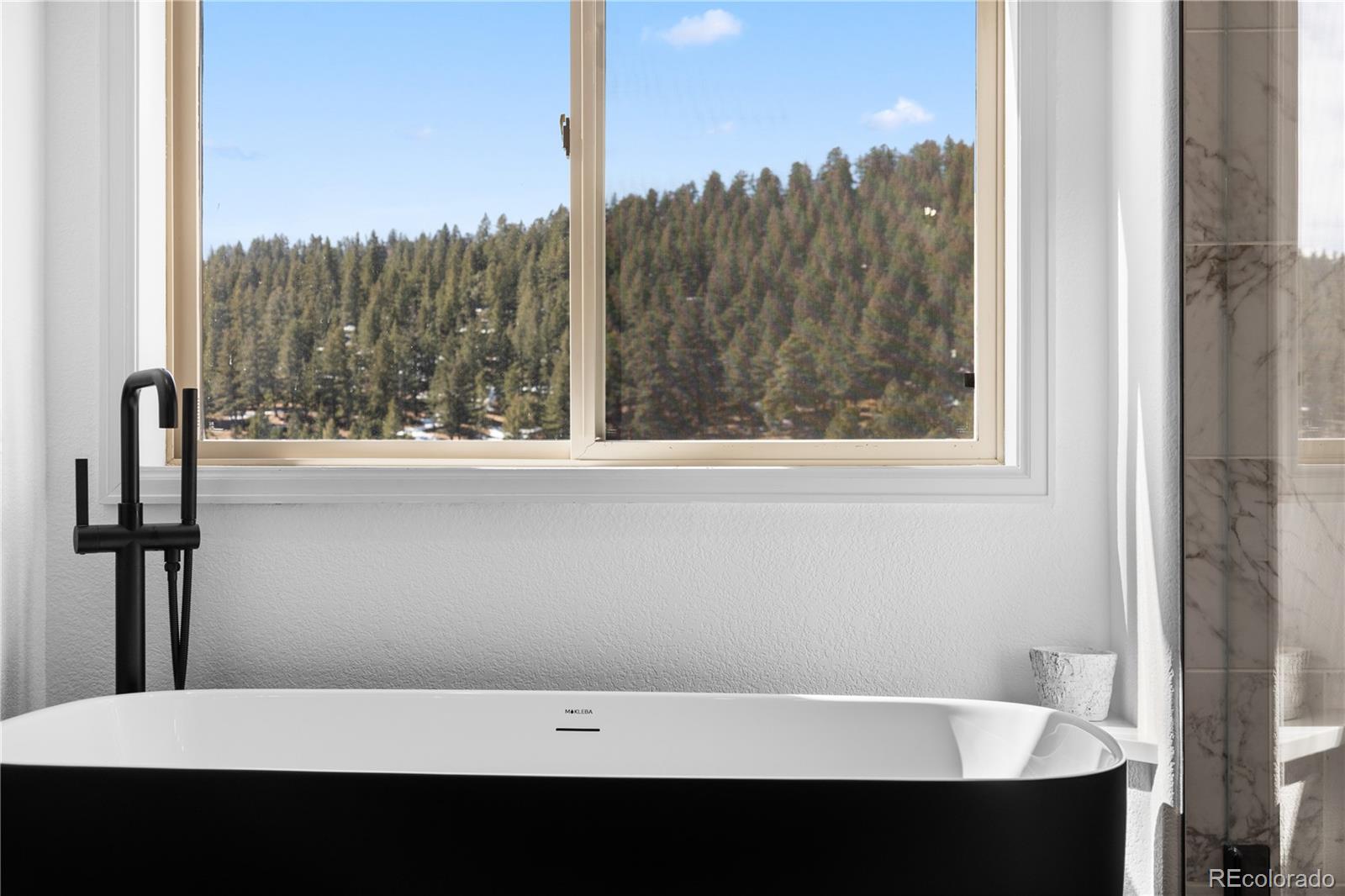 MLS Image #30 for 30455  telluride lane,evergreen, Colorado