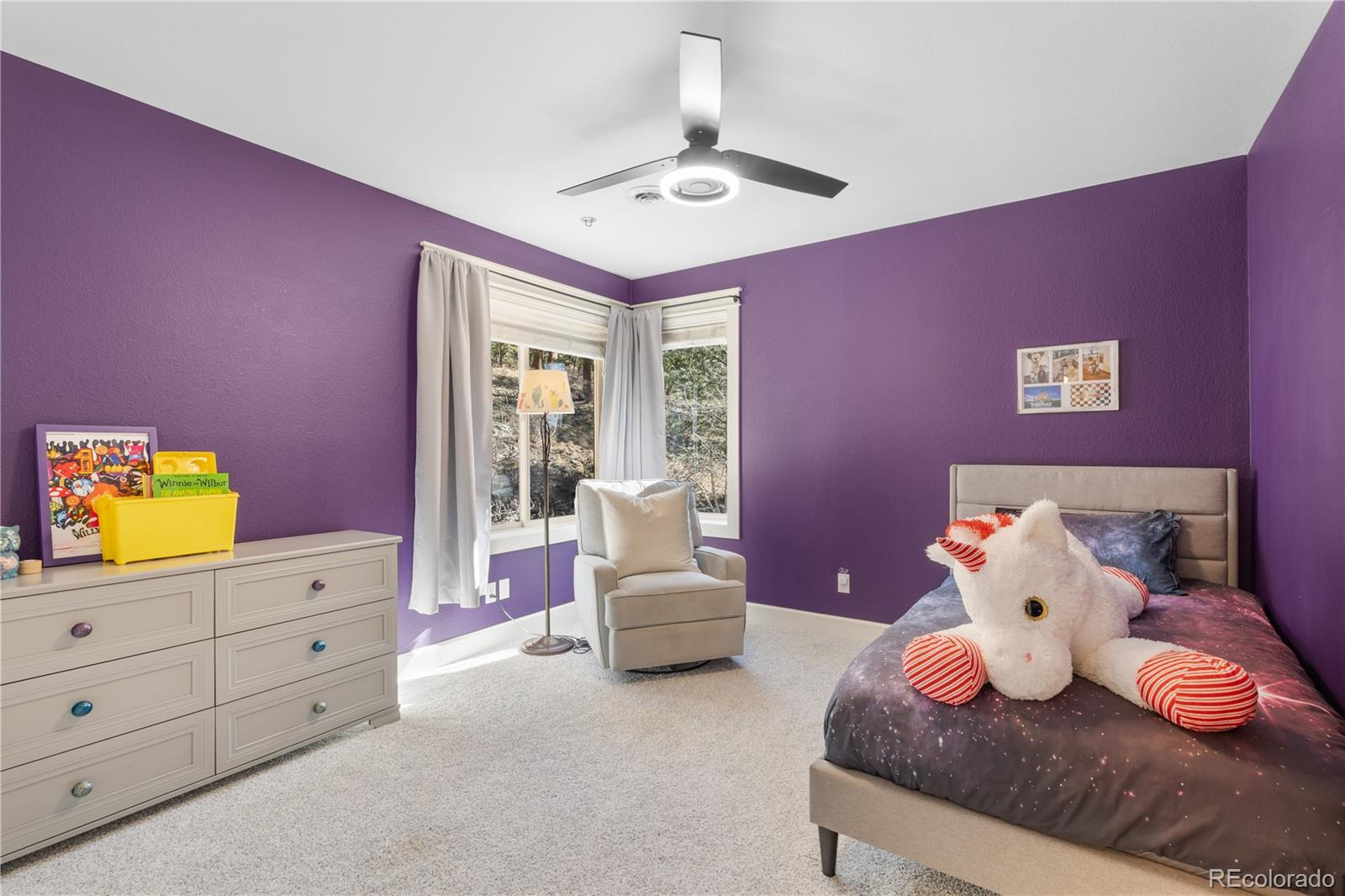 MLS Image #32 for 30455  telluride lane,evergreen, Colorado