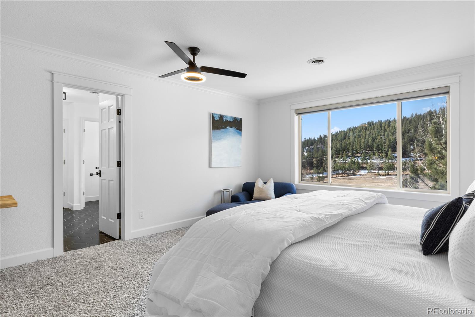 MLS Image #8 for 30455  telluride lane,evergreen, Colorado