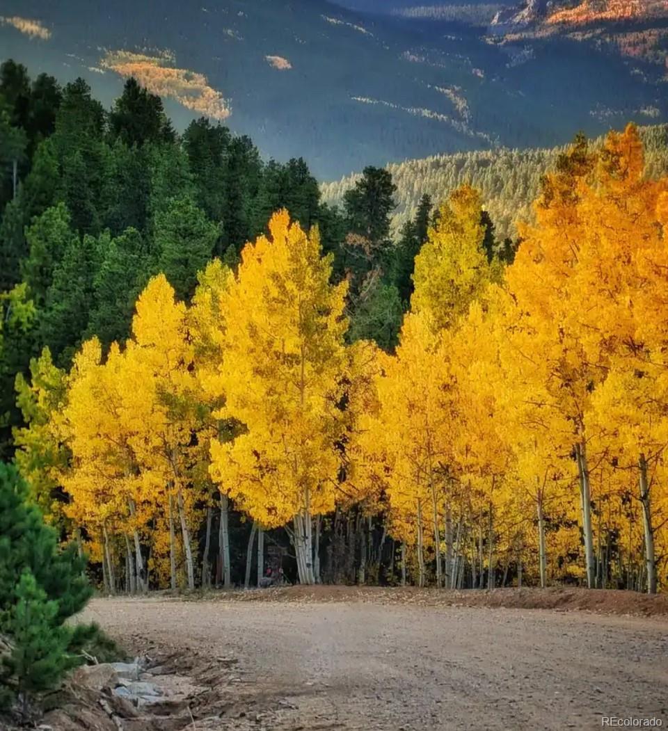 MLS Image #36 for 505  road p69 ,bailey, Colorado