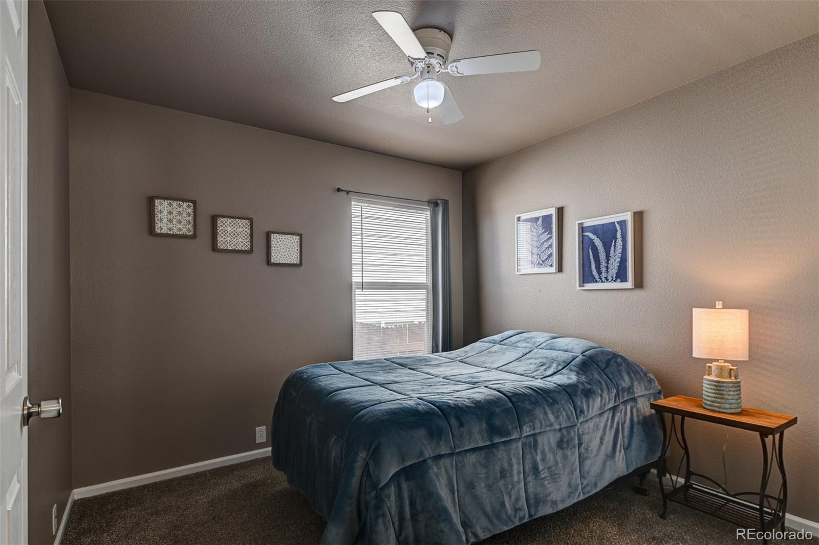 MLS Image #26 for 6514  harvey lane,colorado springs, Colorado