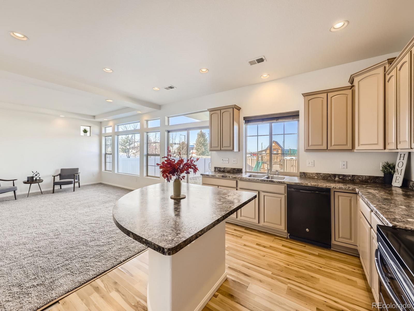 MLS Image #10 for 18241 e 47th drive,denver, Colorado