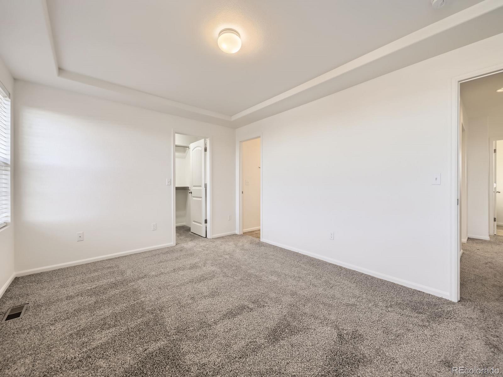 MLS Image #14 for 18241 e 47th drive,denver, Colorado