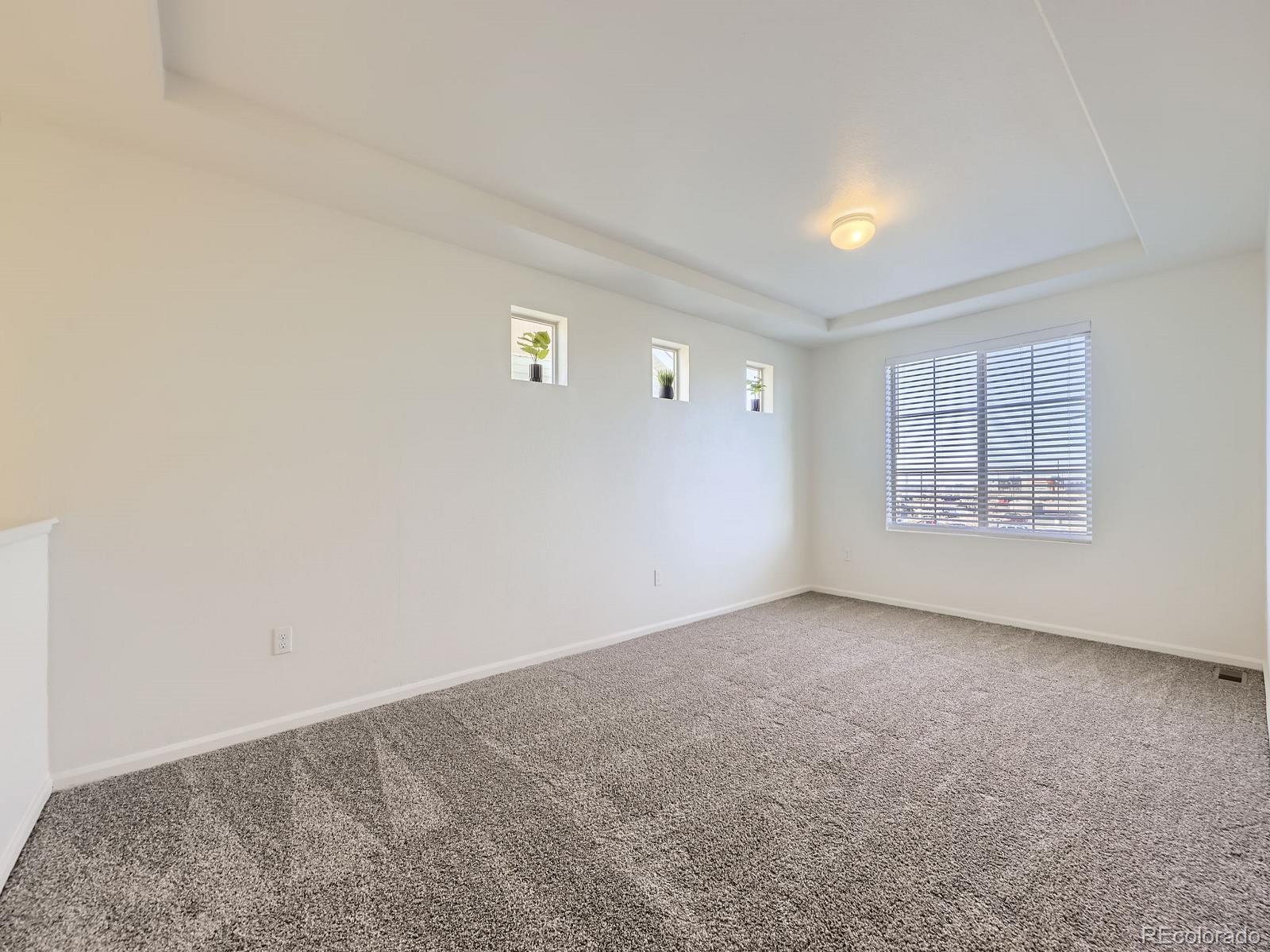 MLS Image #20 for 18241 e 47th drive,denver, Colorado