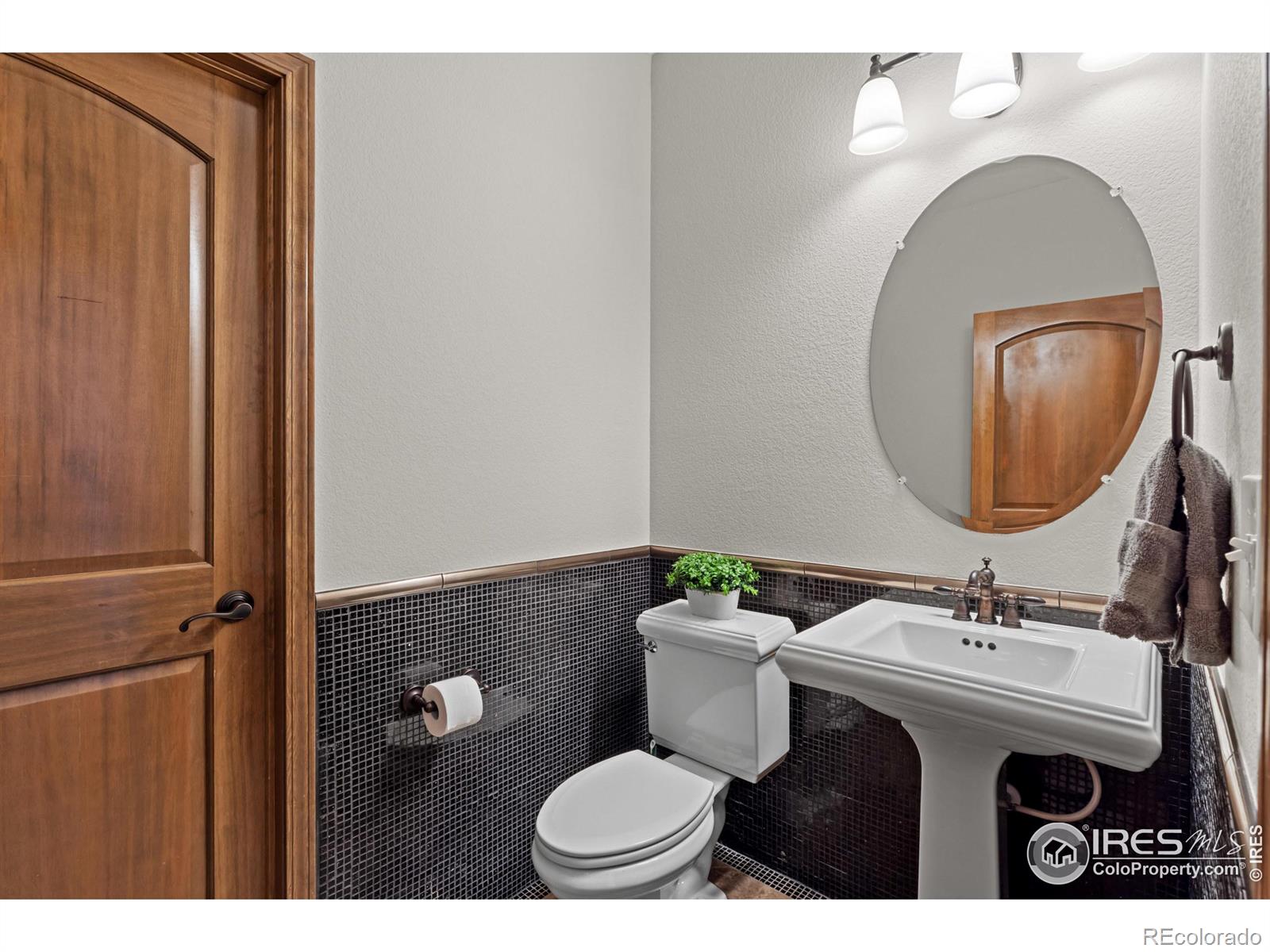 MLS Image #11 for 4822  raven run,broomfield, Colorado