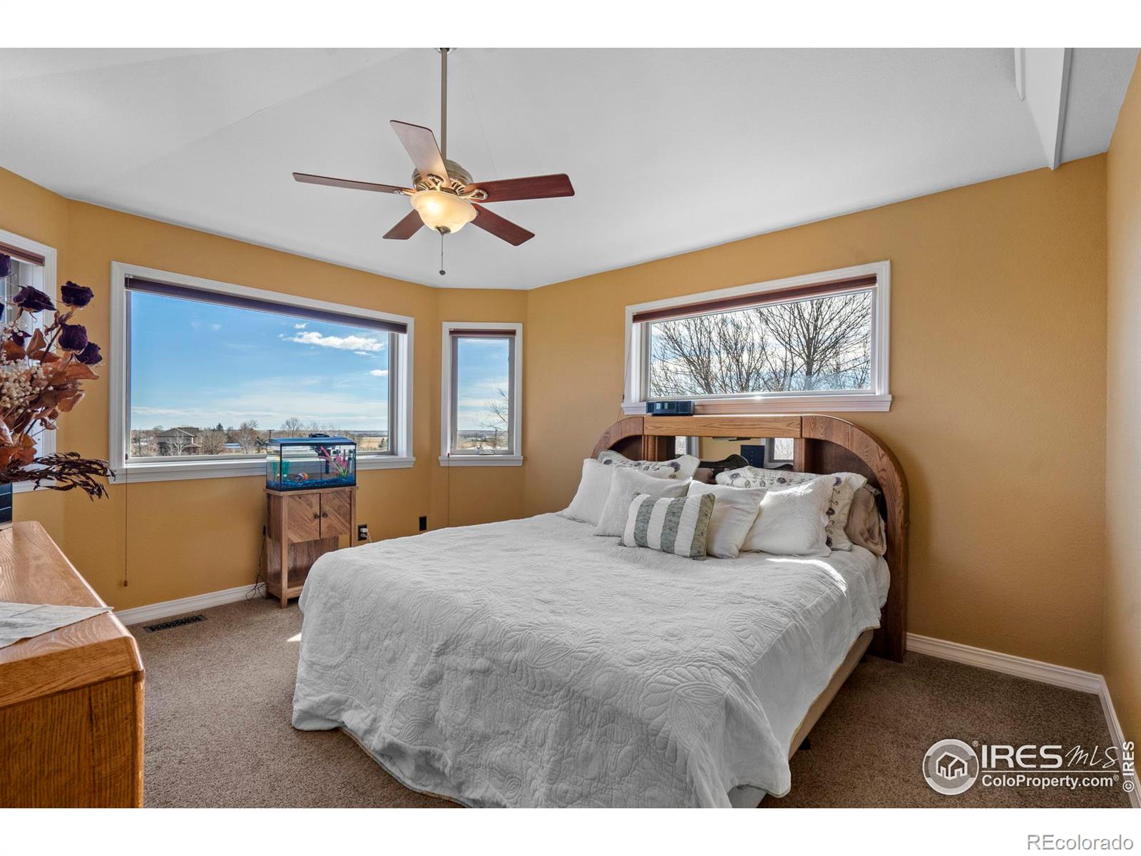 MLS Image #18 for 2100  breckenridge drive,berthoud, Colorado