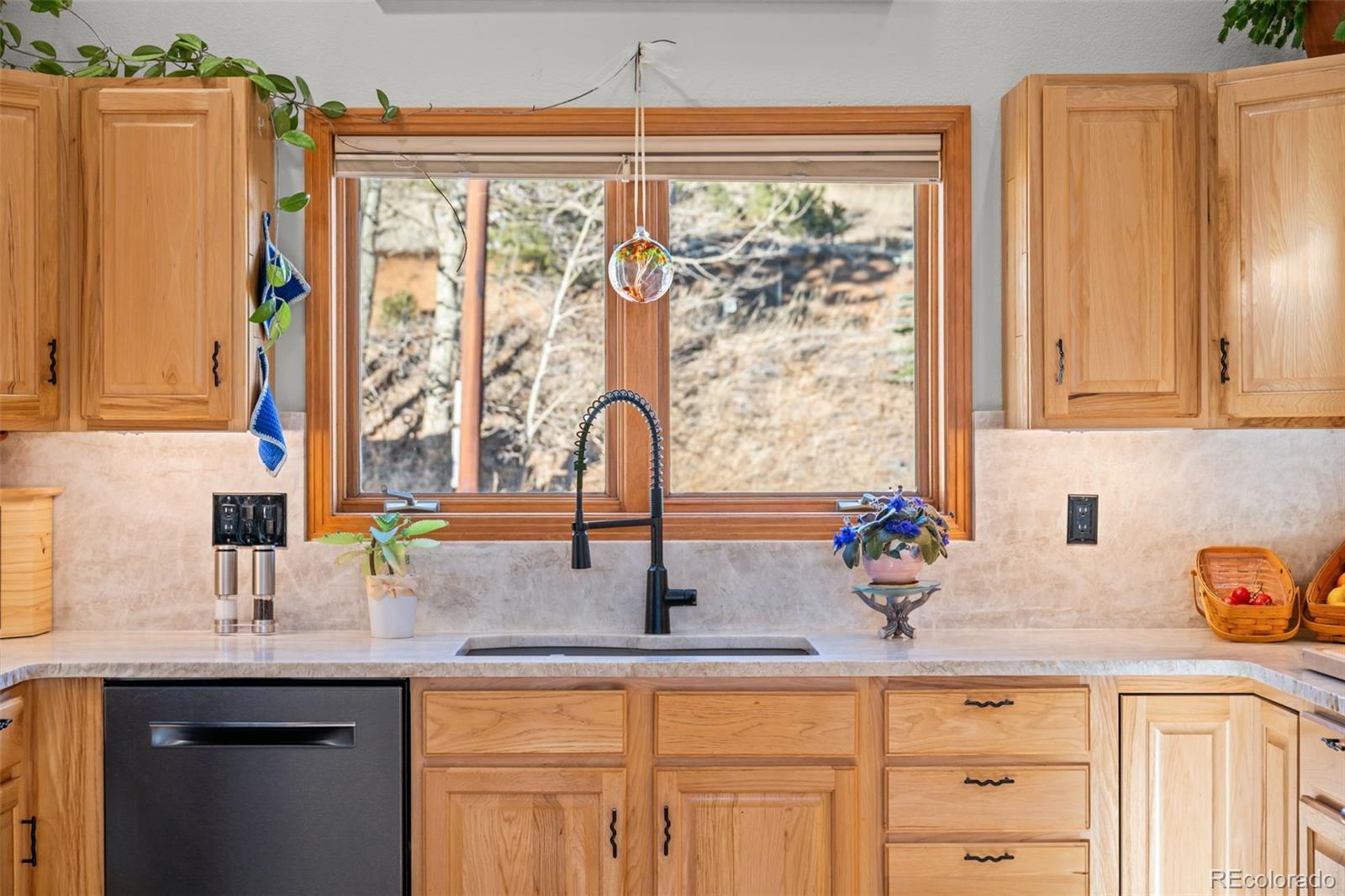 MLS Image #18 for 44  forest ridge circle,bailey, Colorado