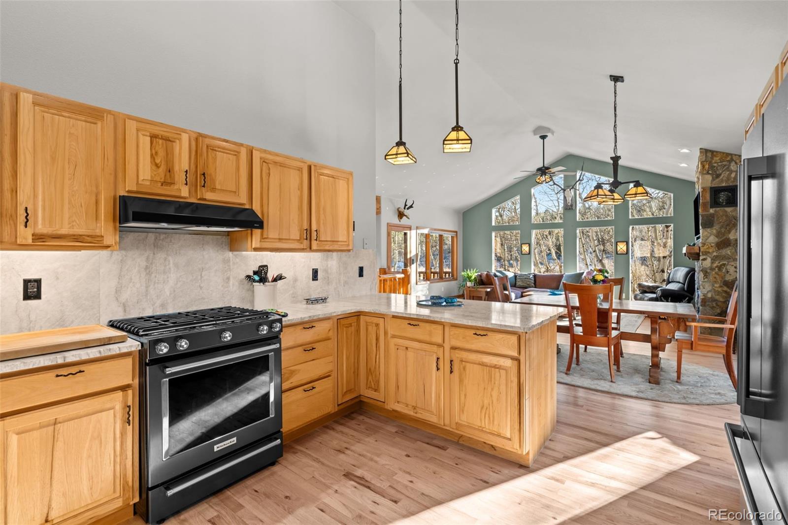 MLS Image #20 for 44  forest ridge circle,bailey, Colorado