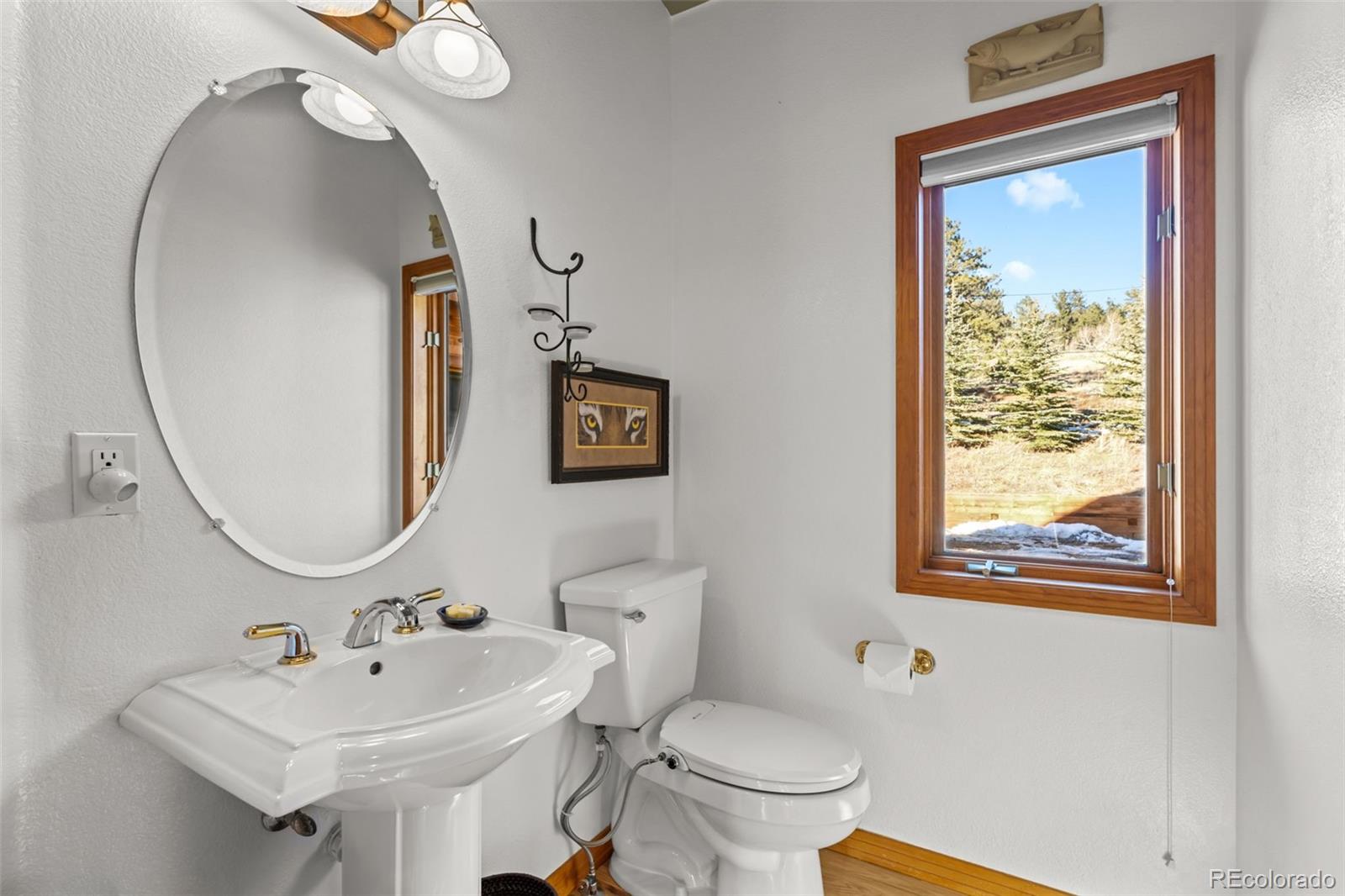 MLS Image #21 for 44  forest ridge circle,bailey, Colorado