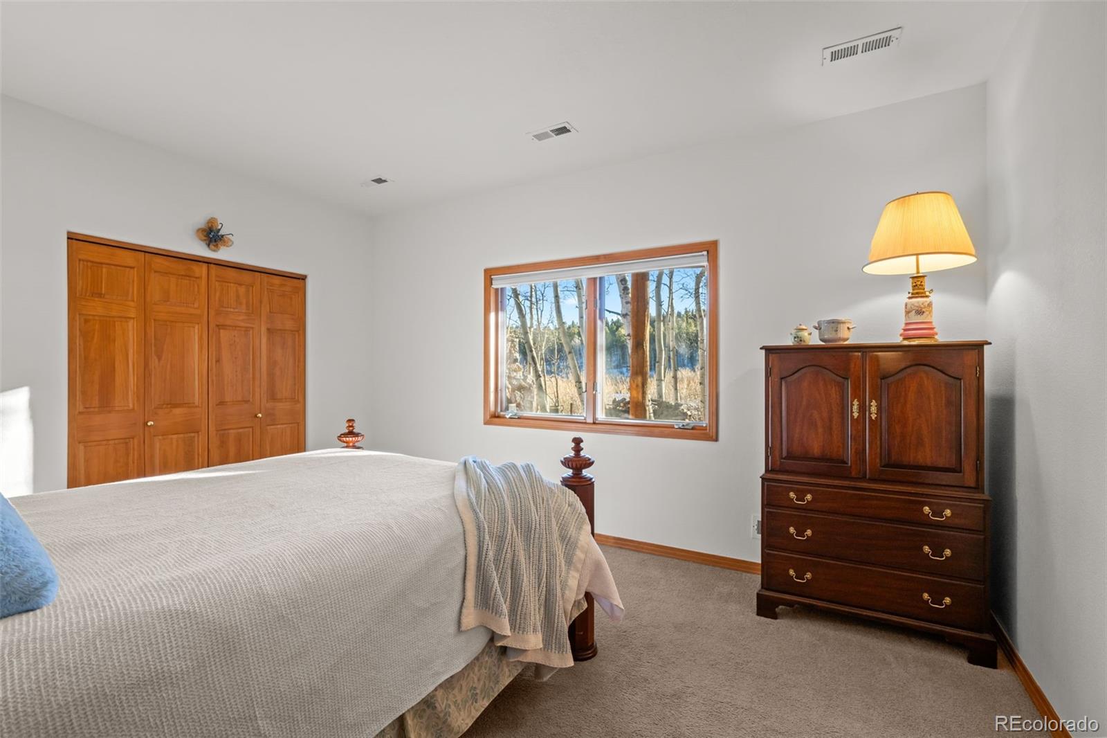 MLS Image #37 for 44  forest ridge circle,bailey, Colorado