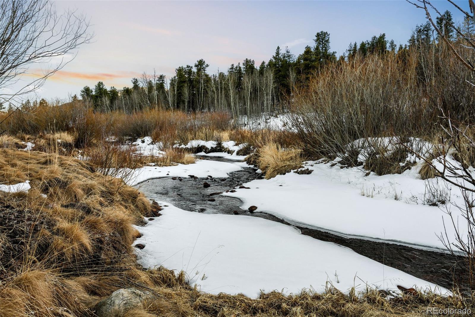 MLS Image #48 for 44  forest ridge circle,bailey, Colorado