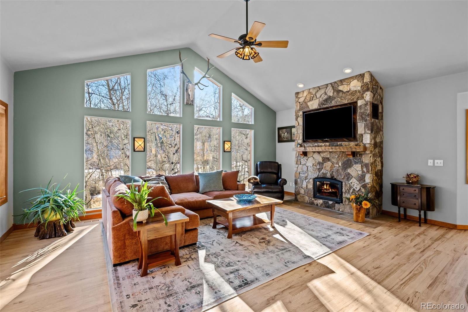 MLS Image #9 for 44  forest ridge circle,bailey, Colorado