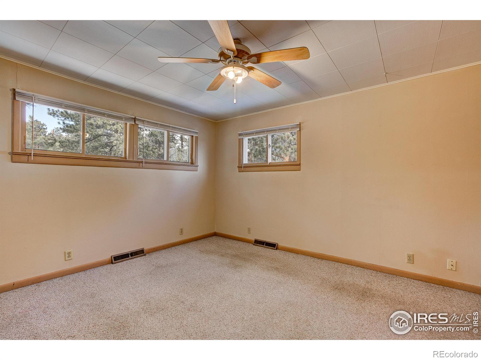 MLS Image #38 for 850  shady lane,estes park, Colorado