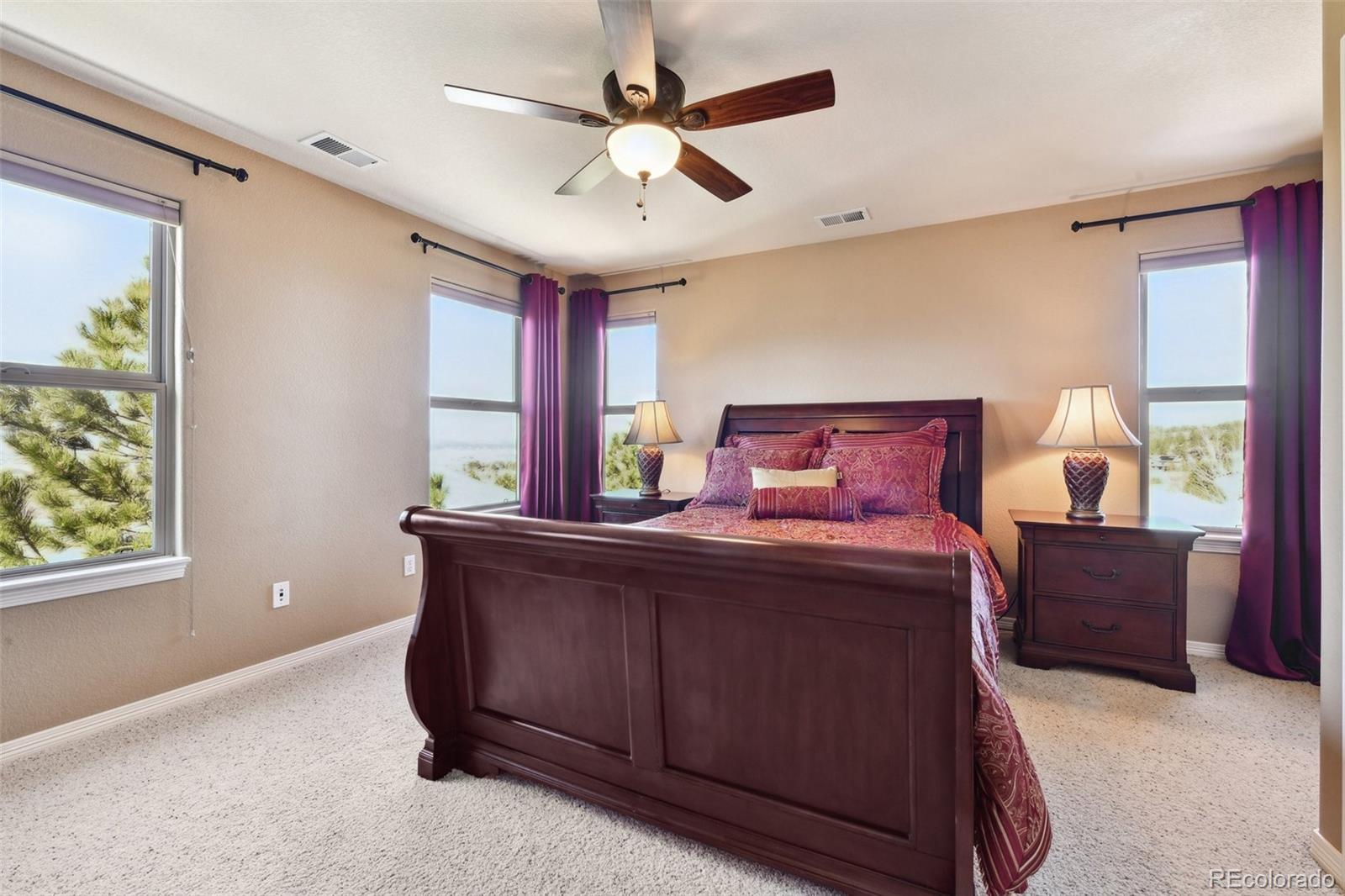 MLS Image #19 for 2116  ridgetrail drive,castle rock, Colorado