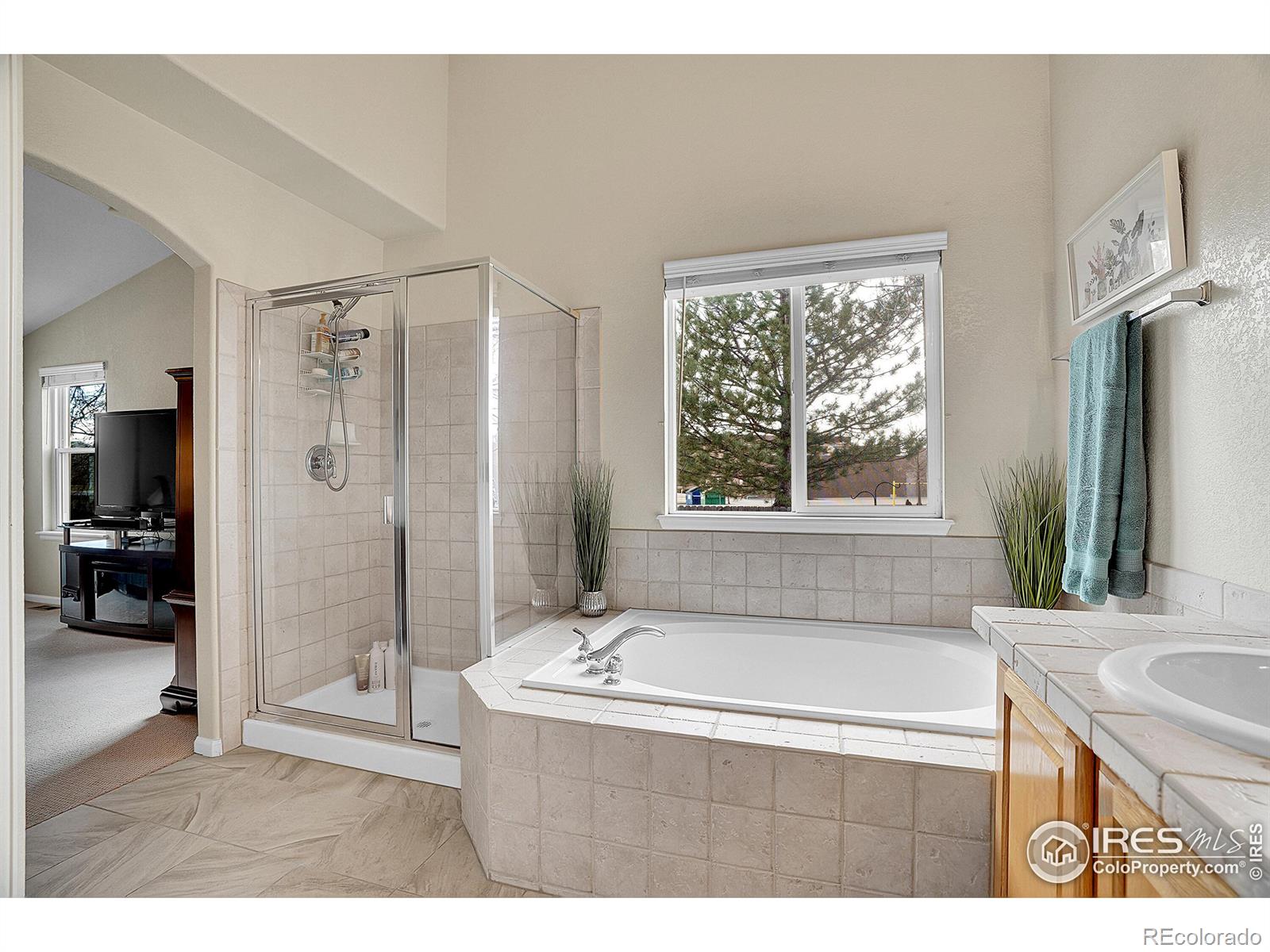 MLS Image #14 for 271  las lomas street,brighton, Colorado