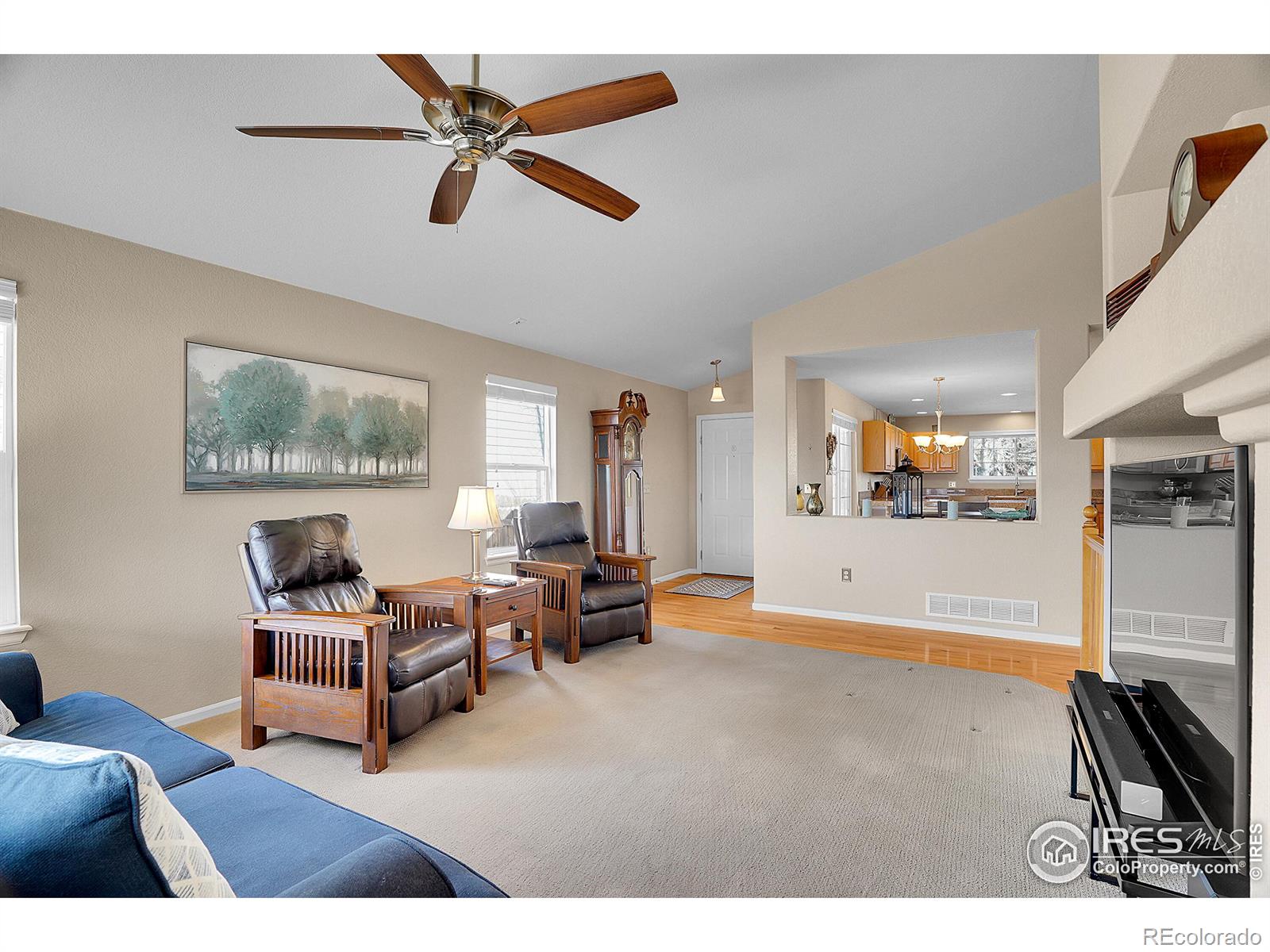 MLS Image #9 for 271  las lomas street,brighton, Colorado