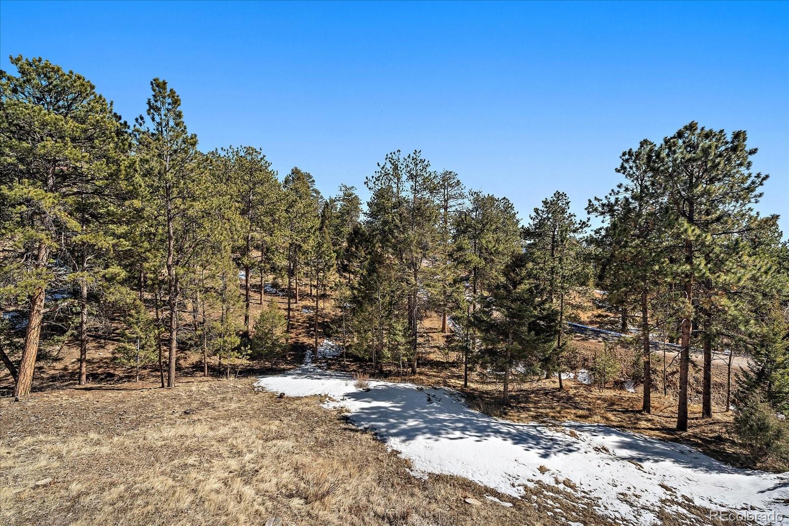 MLS Image #36 for 24847  richmond hill road,conifer, Colorado