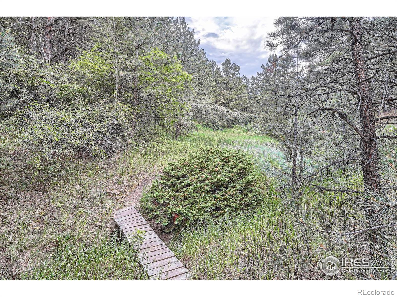 MLS Image #37 for 333  antler drive,boulder, Colorado