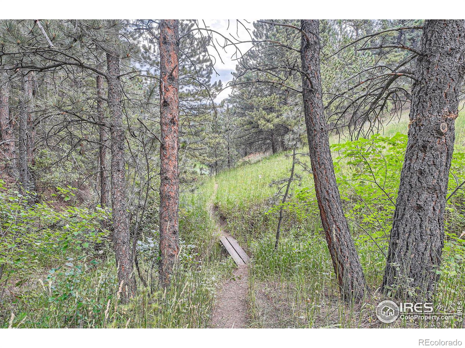 MLS Image #38 for 333  antler drive,boulder, Colorado