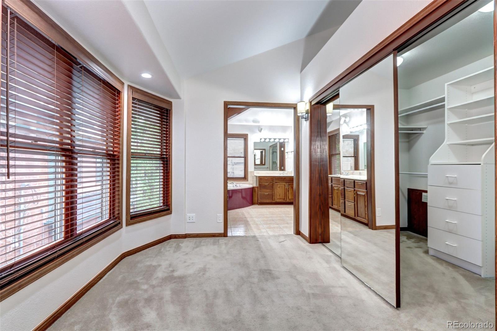 MLS Image #19 for 925 n emerson street,denver, Colorado
