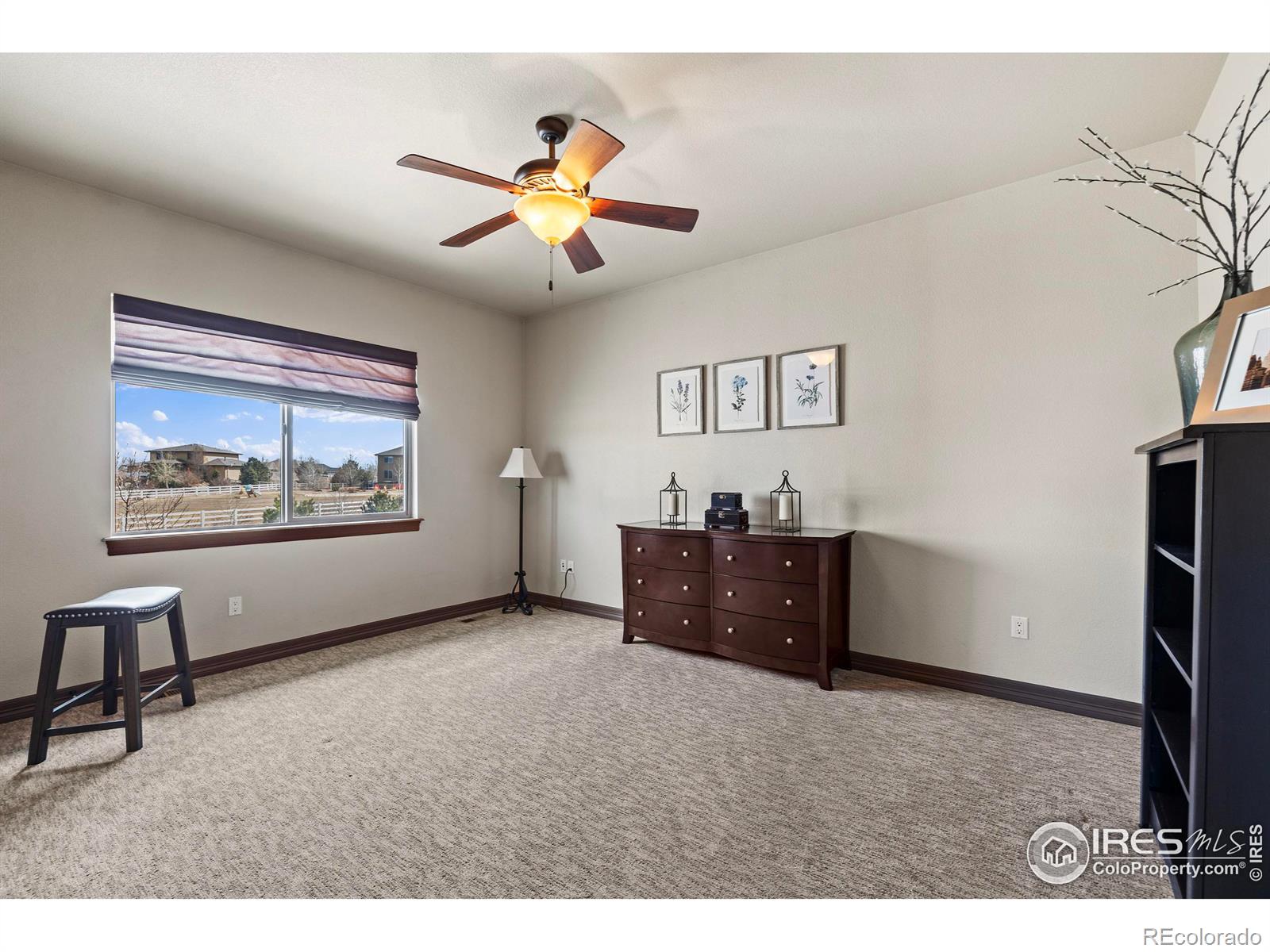 MLS Image #21 for 6006 e 162nd place,brighton, Colorado