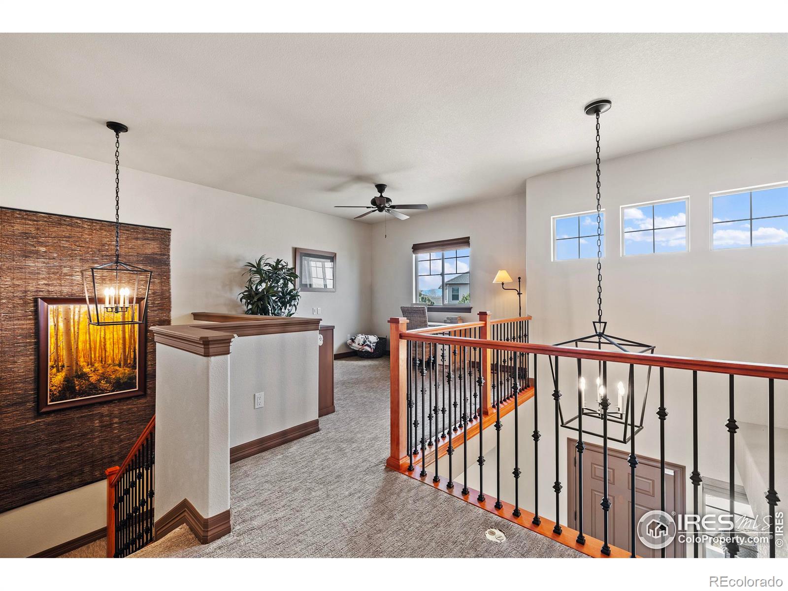 MLS Image #26 for 6006 e 162nd place,brighton, Colorado