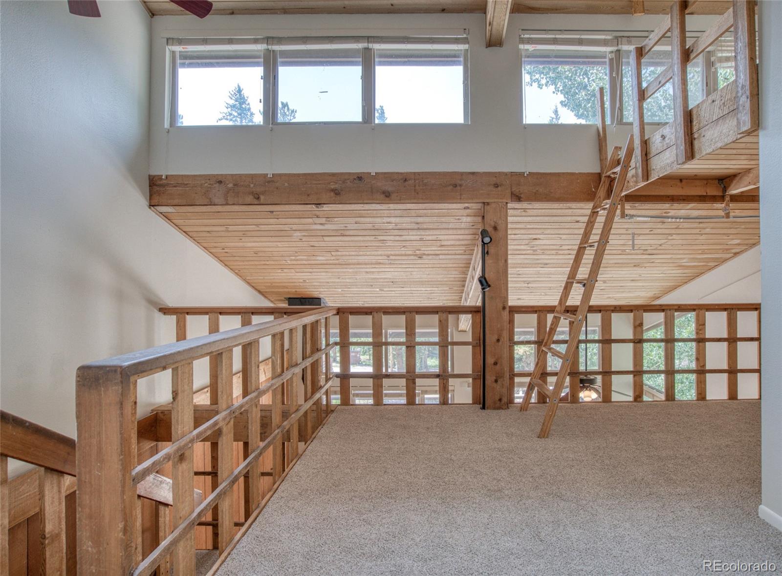 MLS Image #14 for 166 s fuller placer road,breckenridge, Colorado