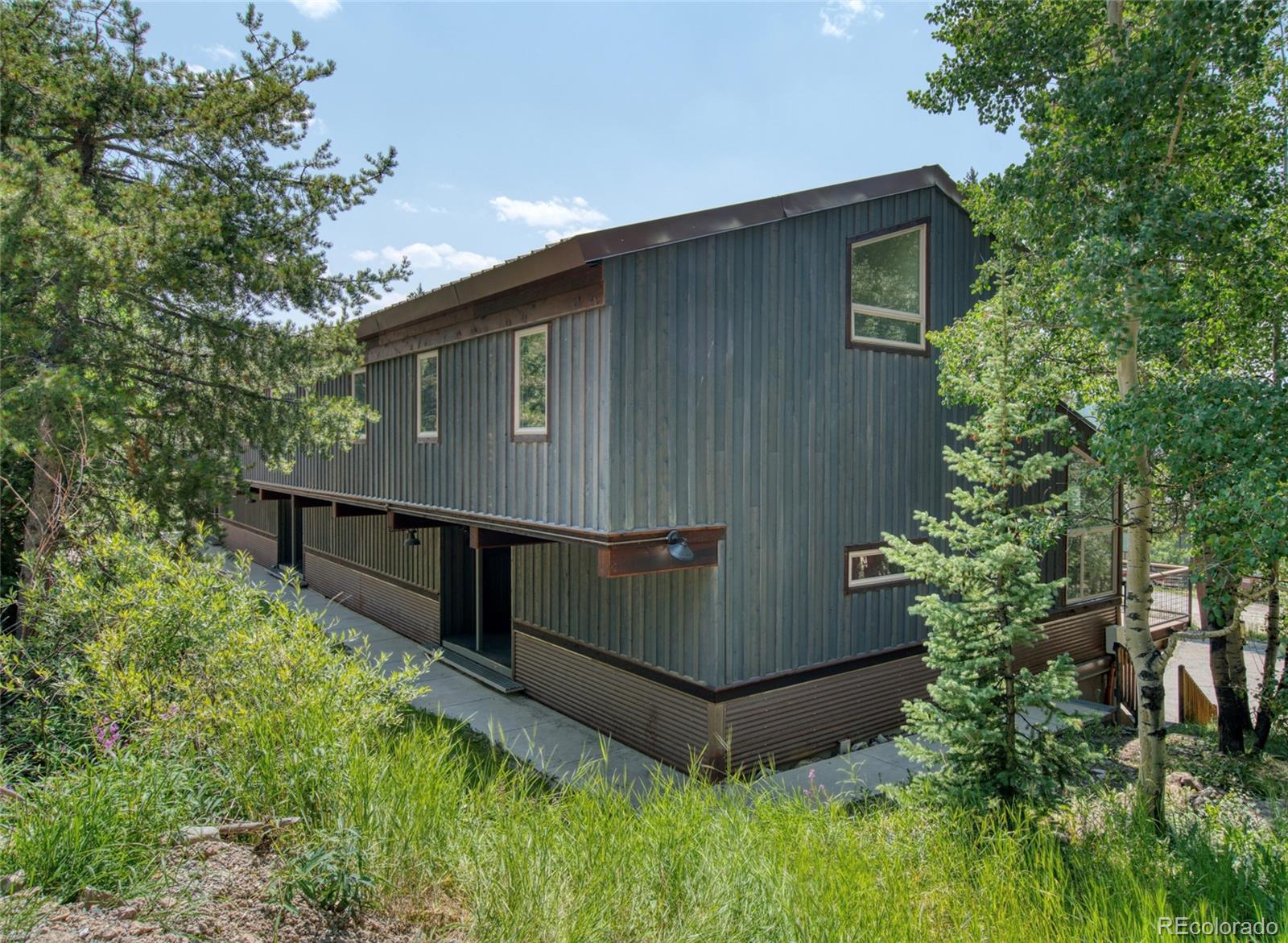 MLS Image #25 for 166 s fuller placer road,breckenridge, Colorado