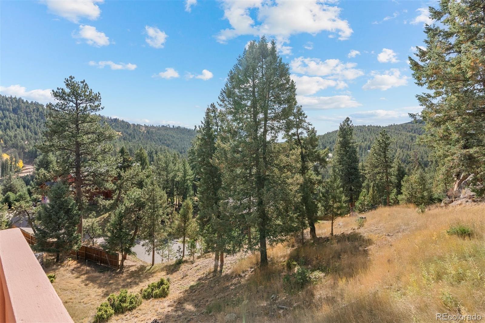 MLS Image #24 for 6904  sprucedale park way,evergreen, Colorado