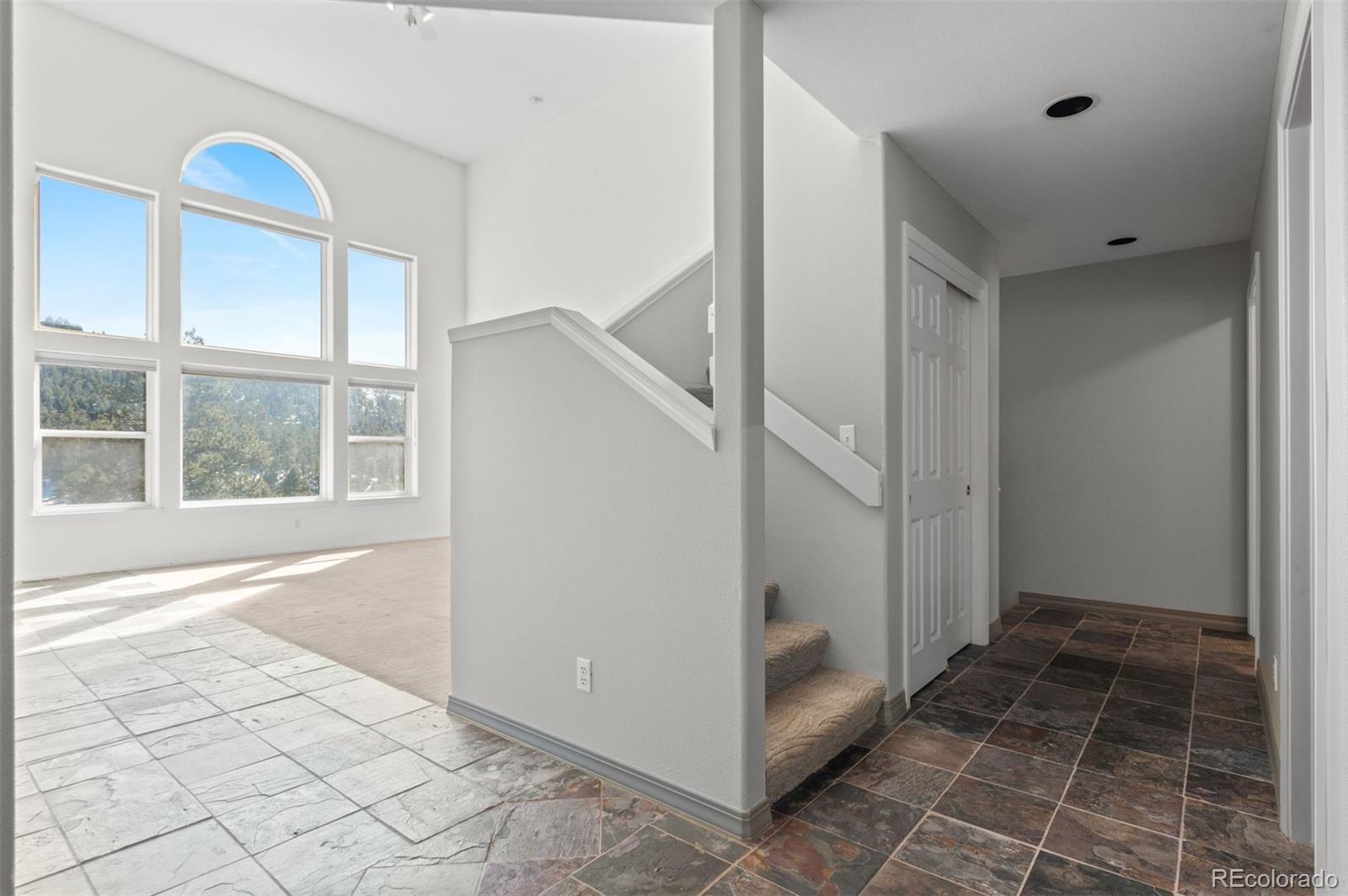 MLS Image #9 for 6904  sprucedale park way,evergreen, Colorado