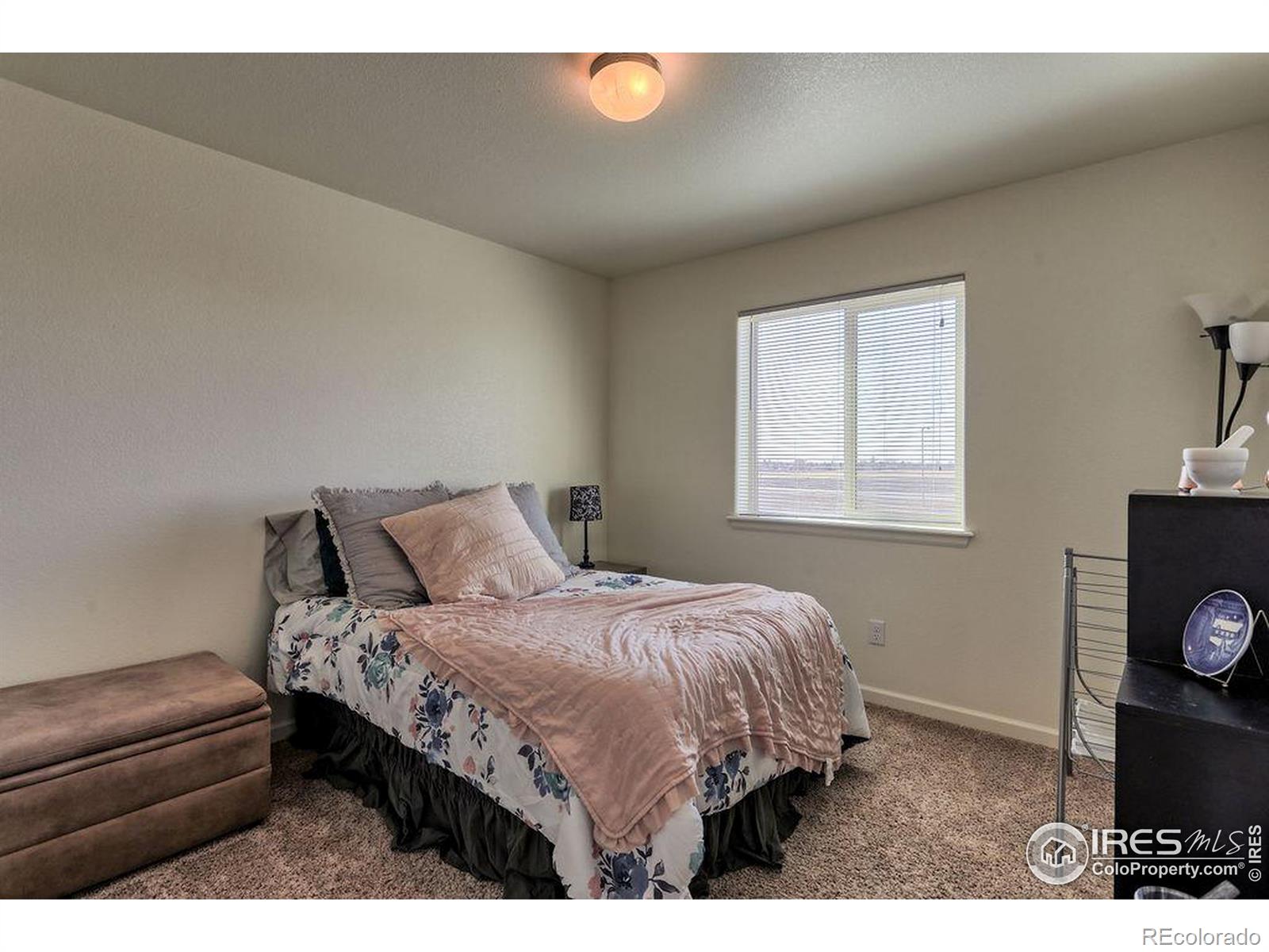 MLS Image #19 for 3169  fairmont drive,wellington, Colorado