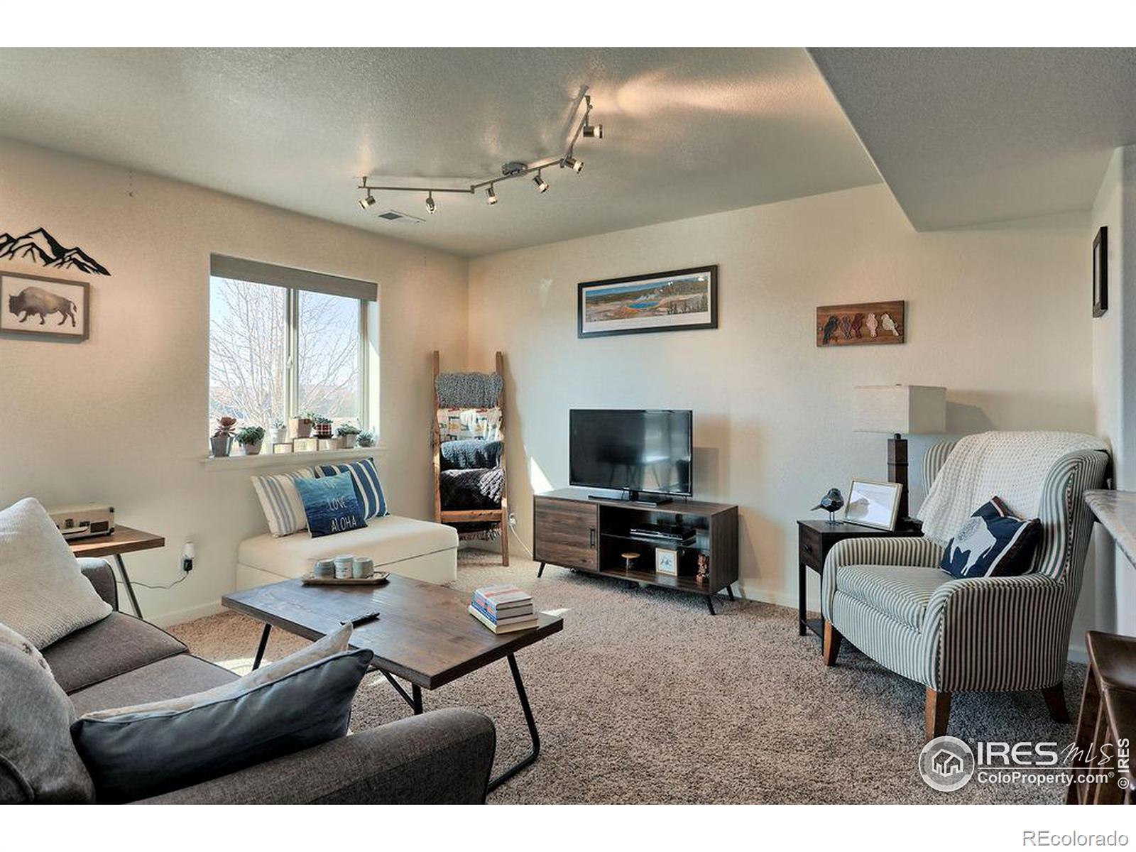 MLS Image #9 for 3169  fairmont drive,wellington, Colorado