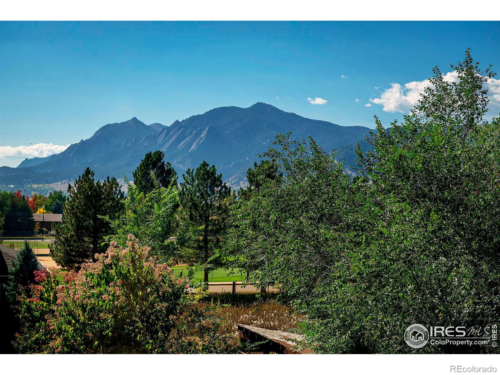 MLS Image #3 for 1520  kalmia avenue,boulder, Colorado