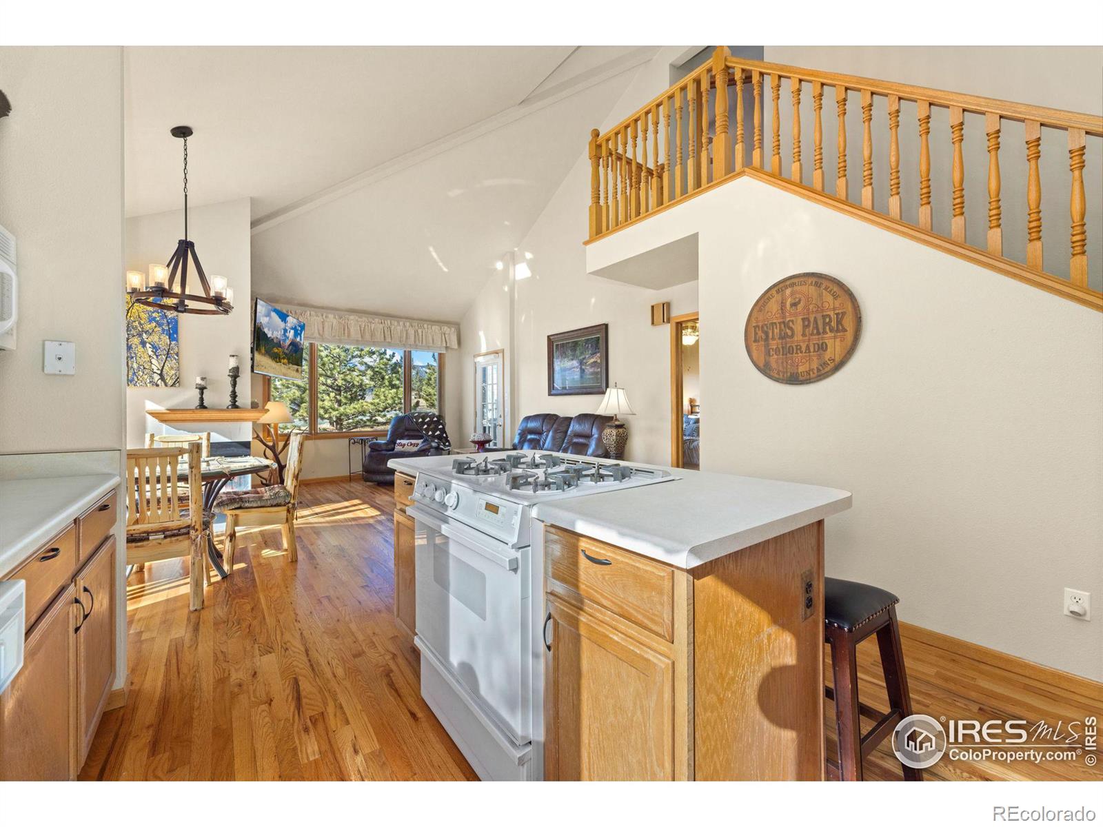 MLS Image #5 for 1437  raven circle,estes park, Colorado