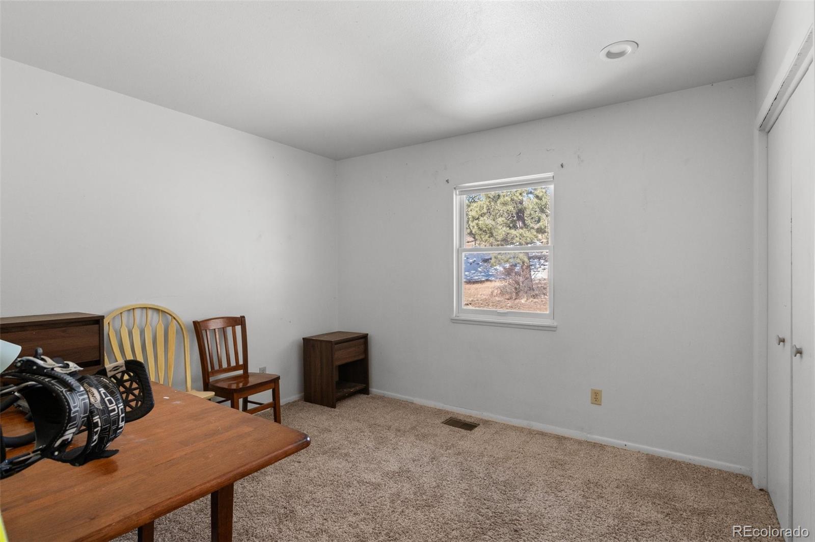 MLS Image #20 for 470  homestead road,bailey, Colorado