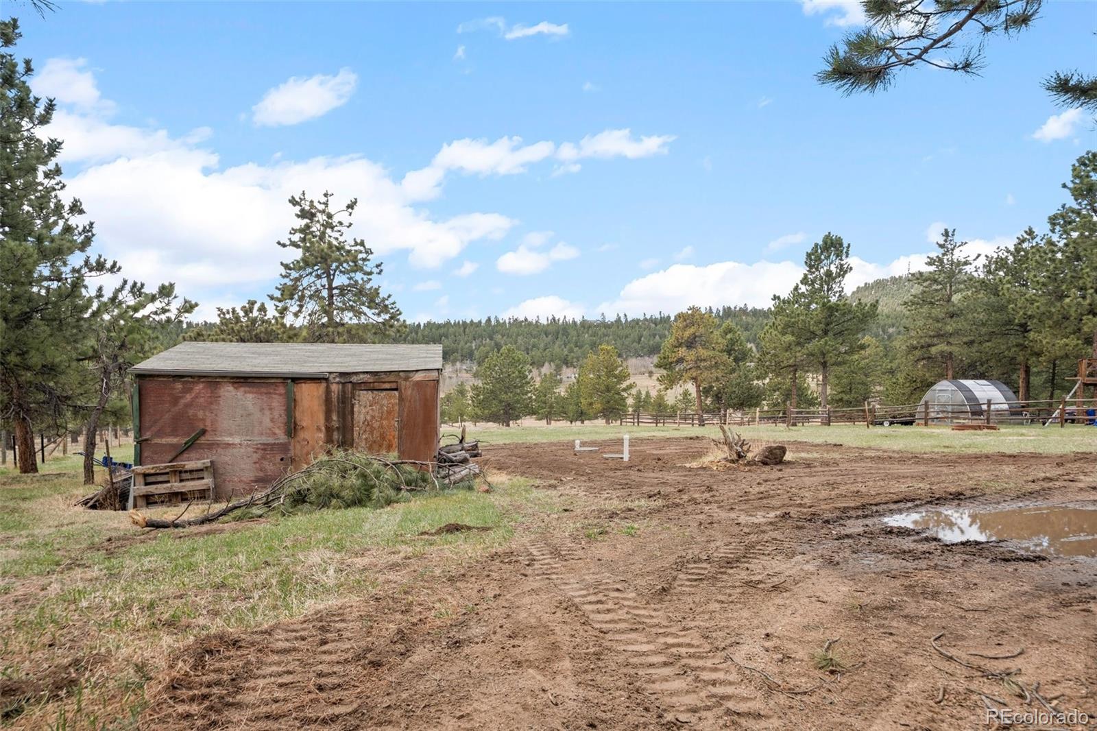 MLS Image #29 for 470  homestead road,bailey, Colorado